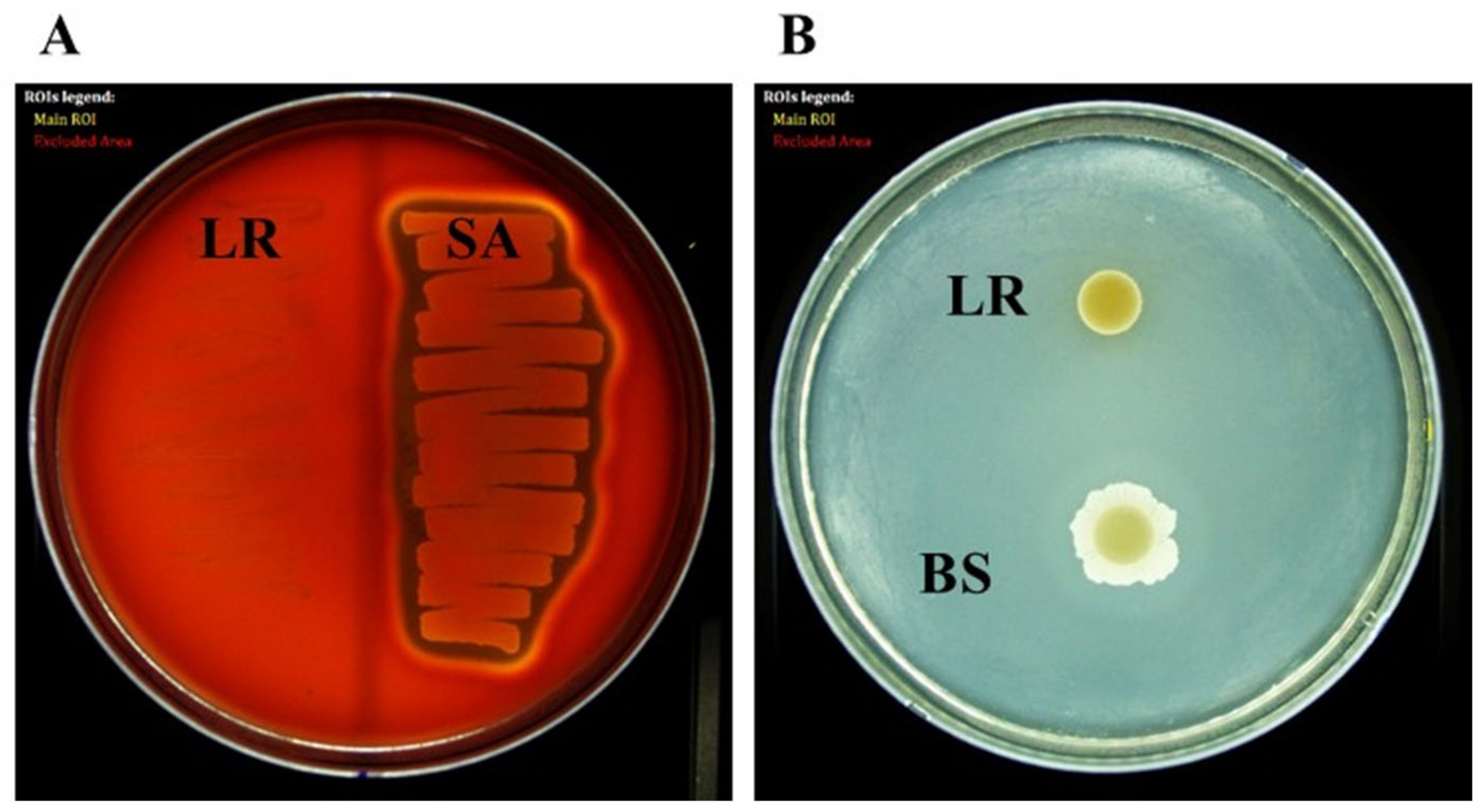 Antioxidants 12 00238 g006 Antioxidants 12 00238 g006