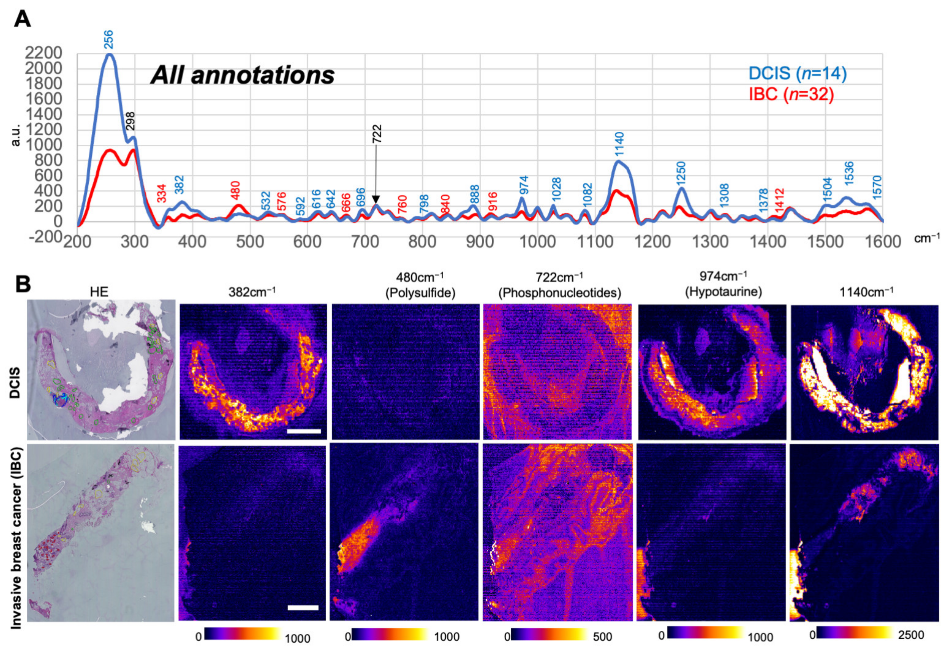 Antioxidants 12 00240 g001 Antioxidants 12 00240 g001