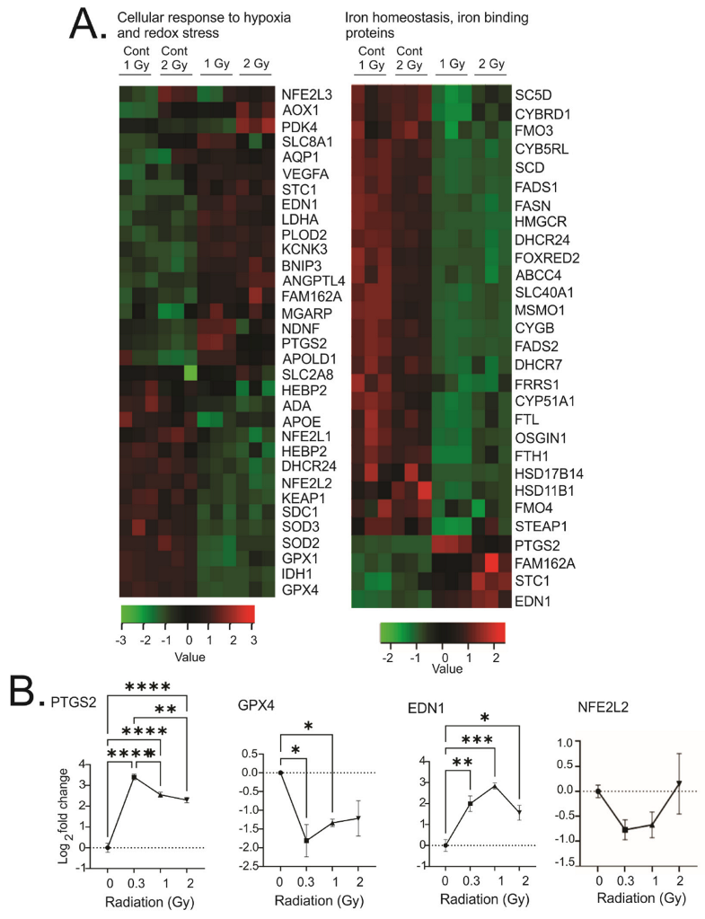 Antioxidants 12 00241 g009