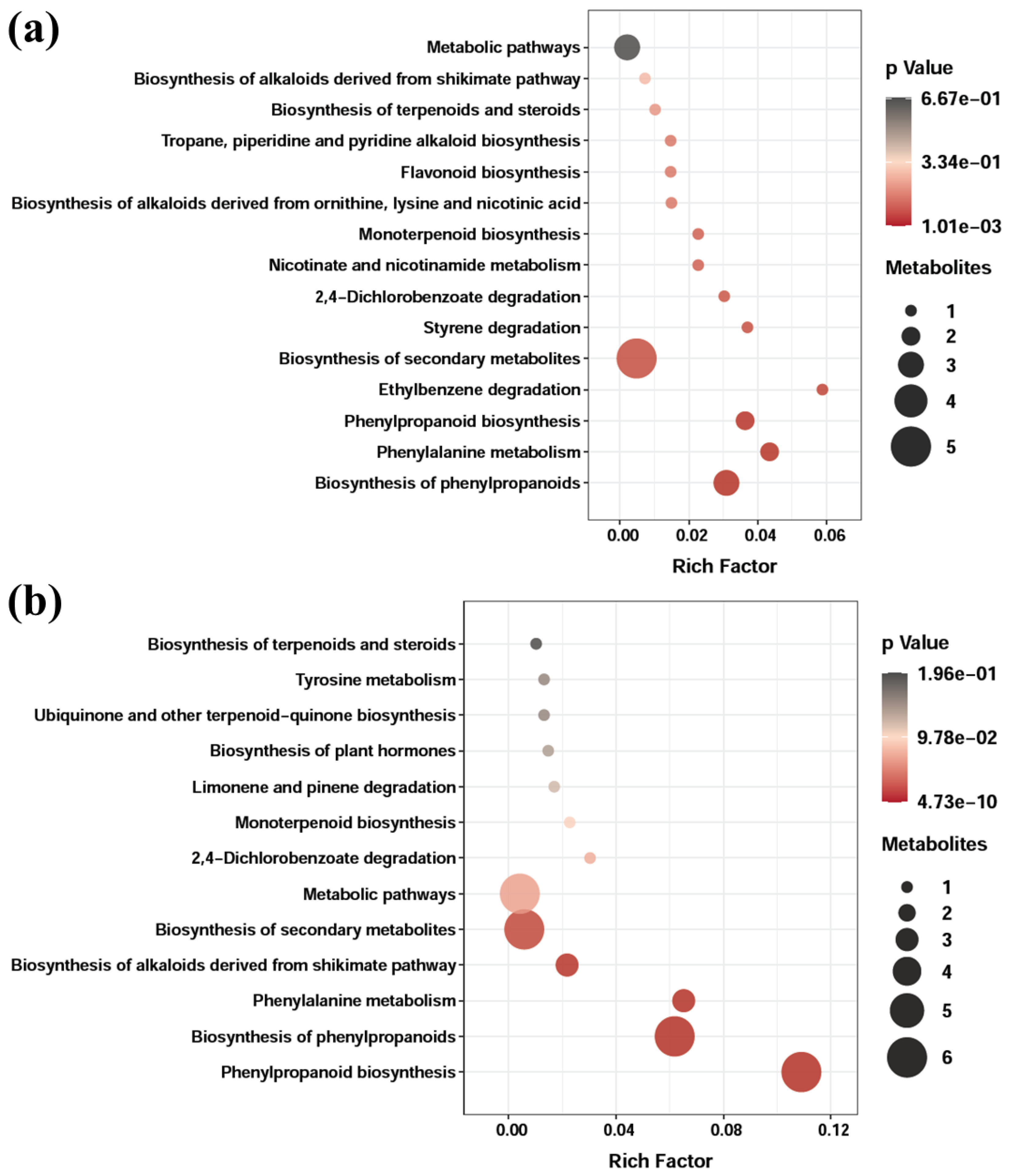 Antioxidants 12 00248 g005