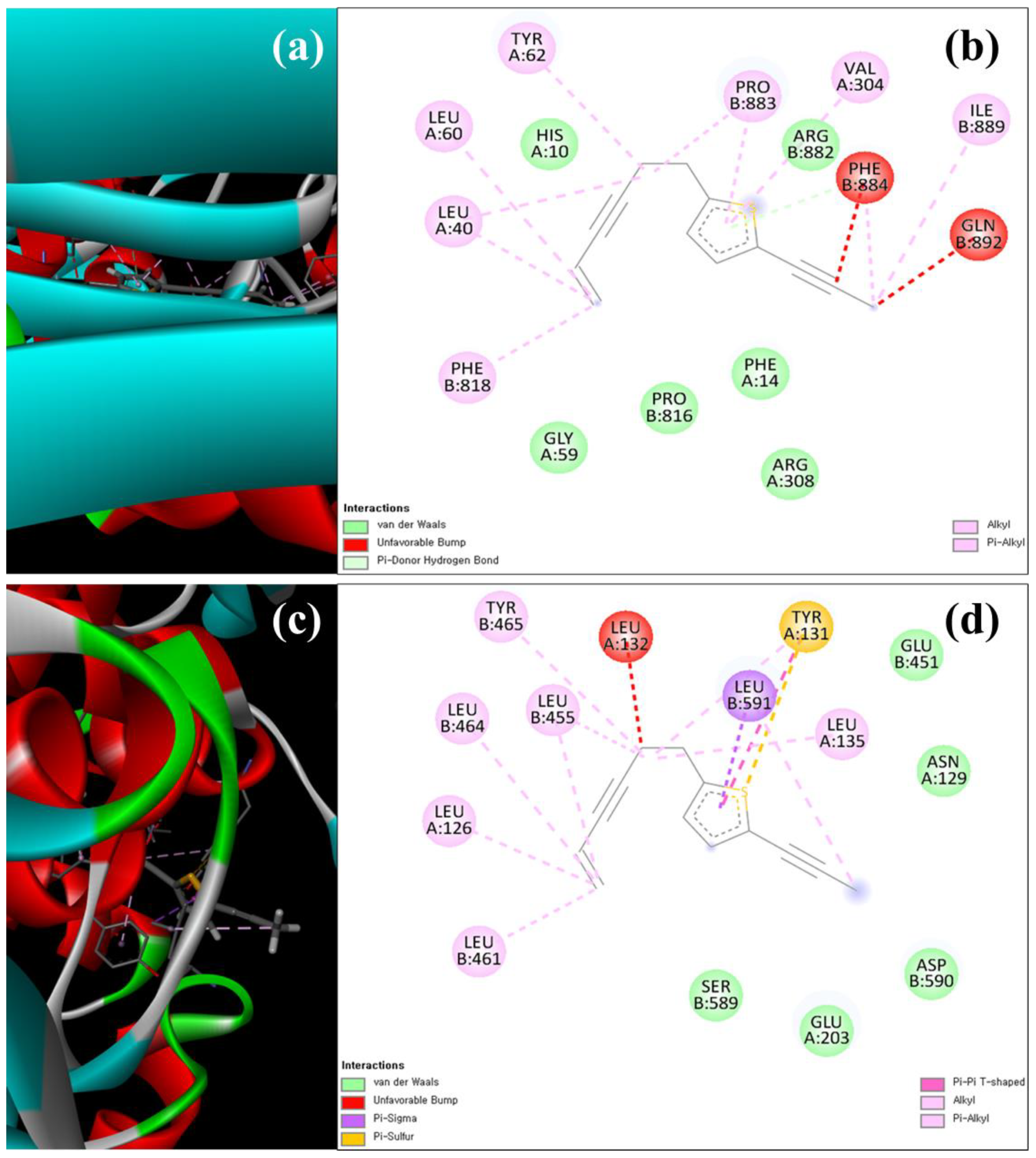 Antioxidants 12 00248 g007