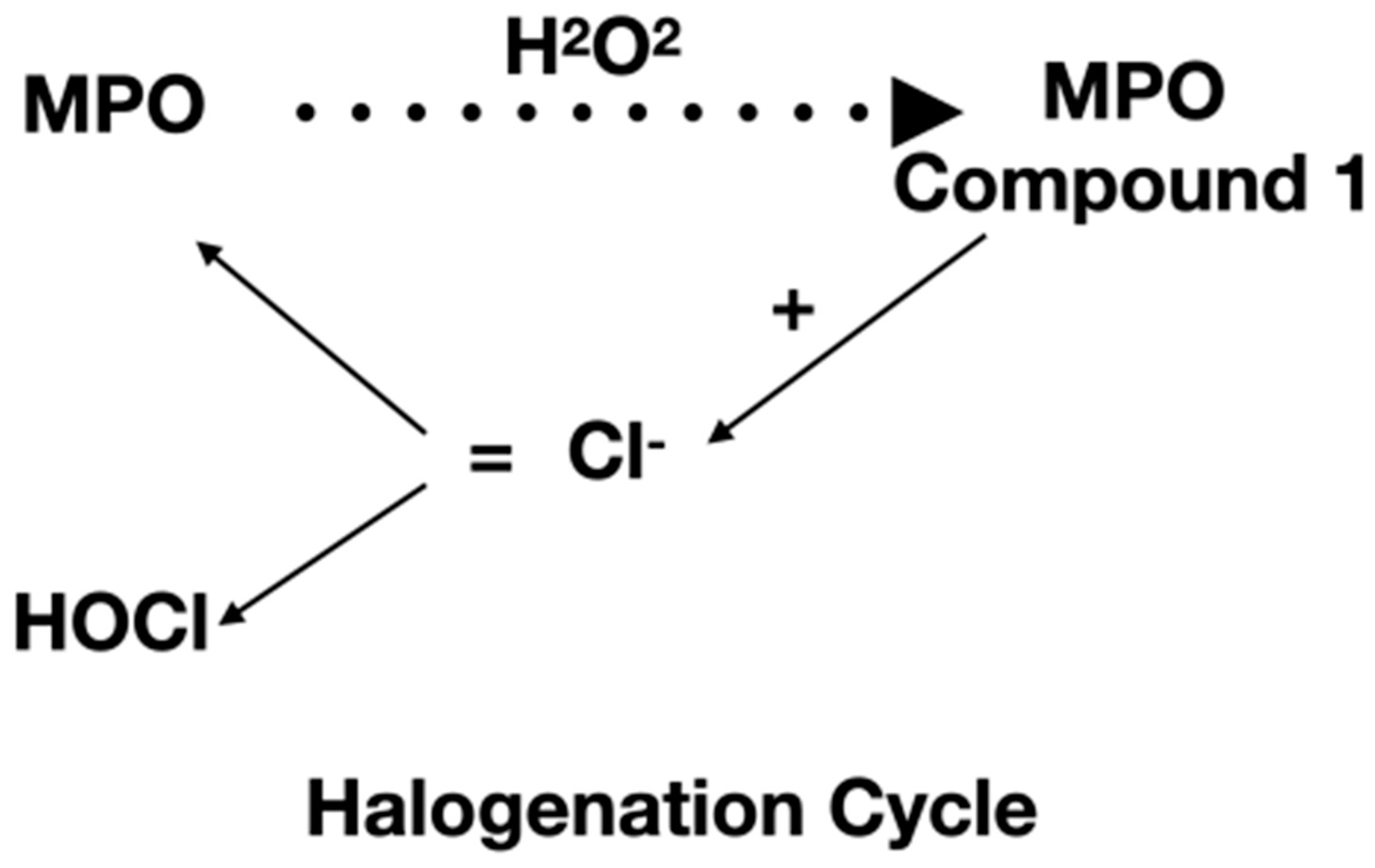 Antioxidants 12 00249 g001