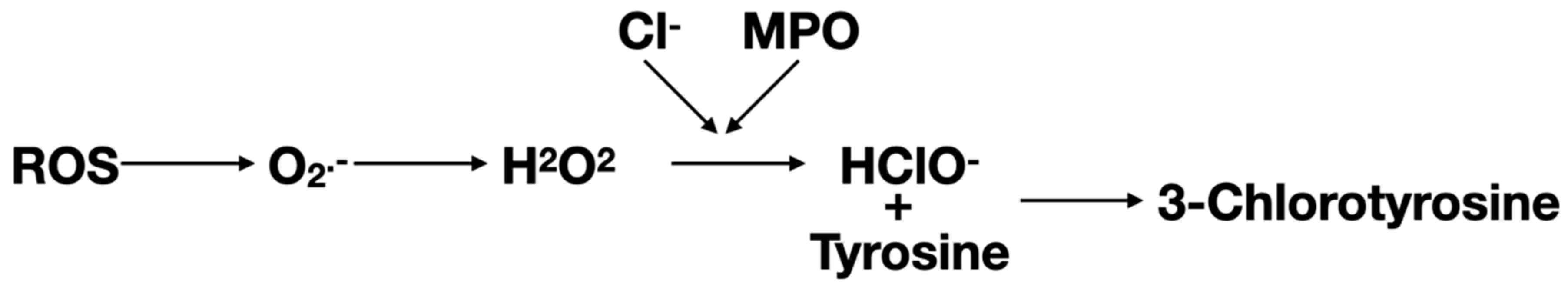 Antioxidants 12 00249 g002