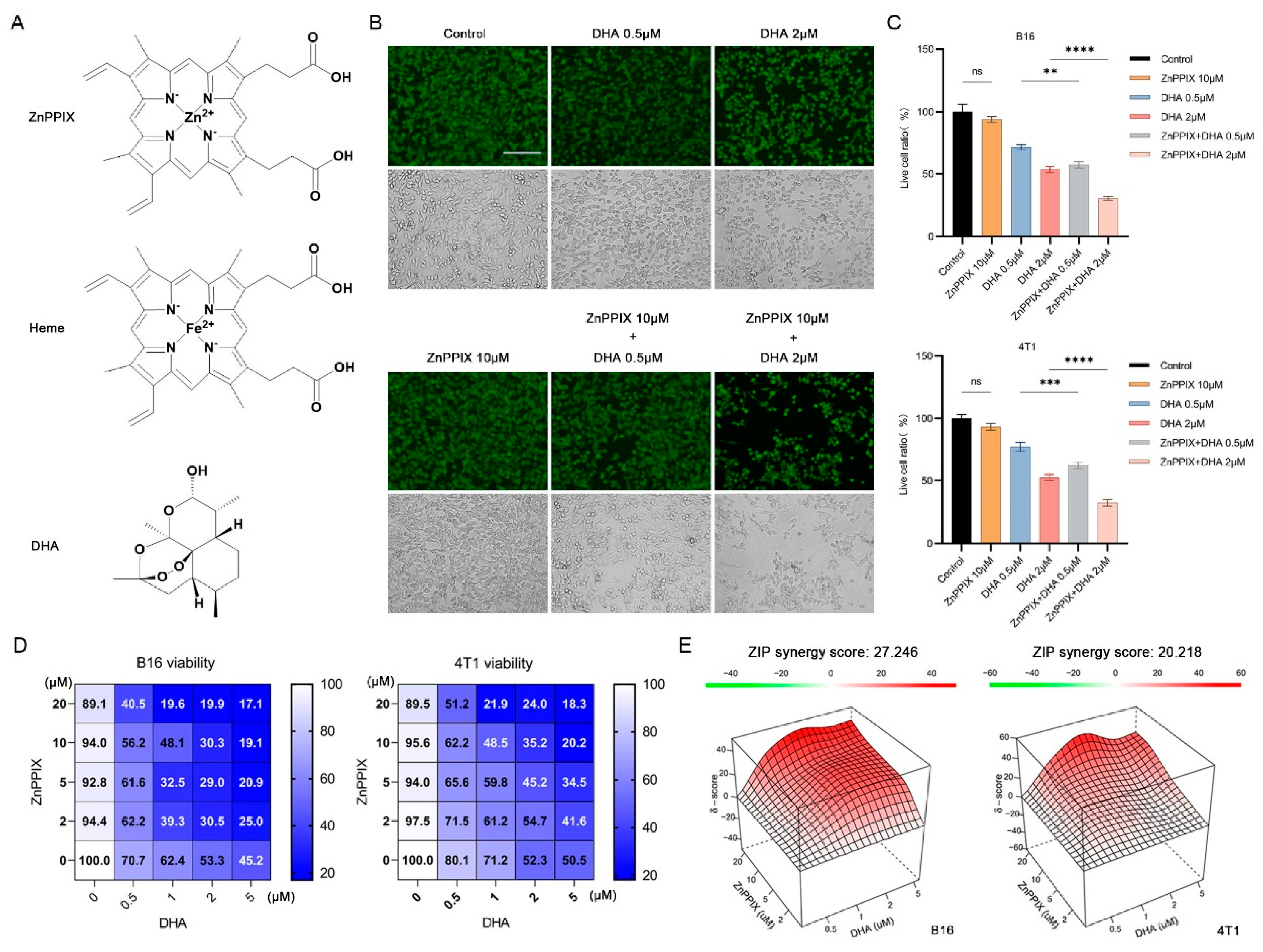 Antioxidants 12 00250 g001 Antioxidants 12 00250 g001