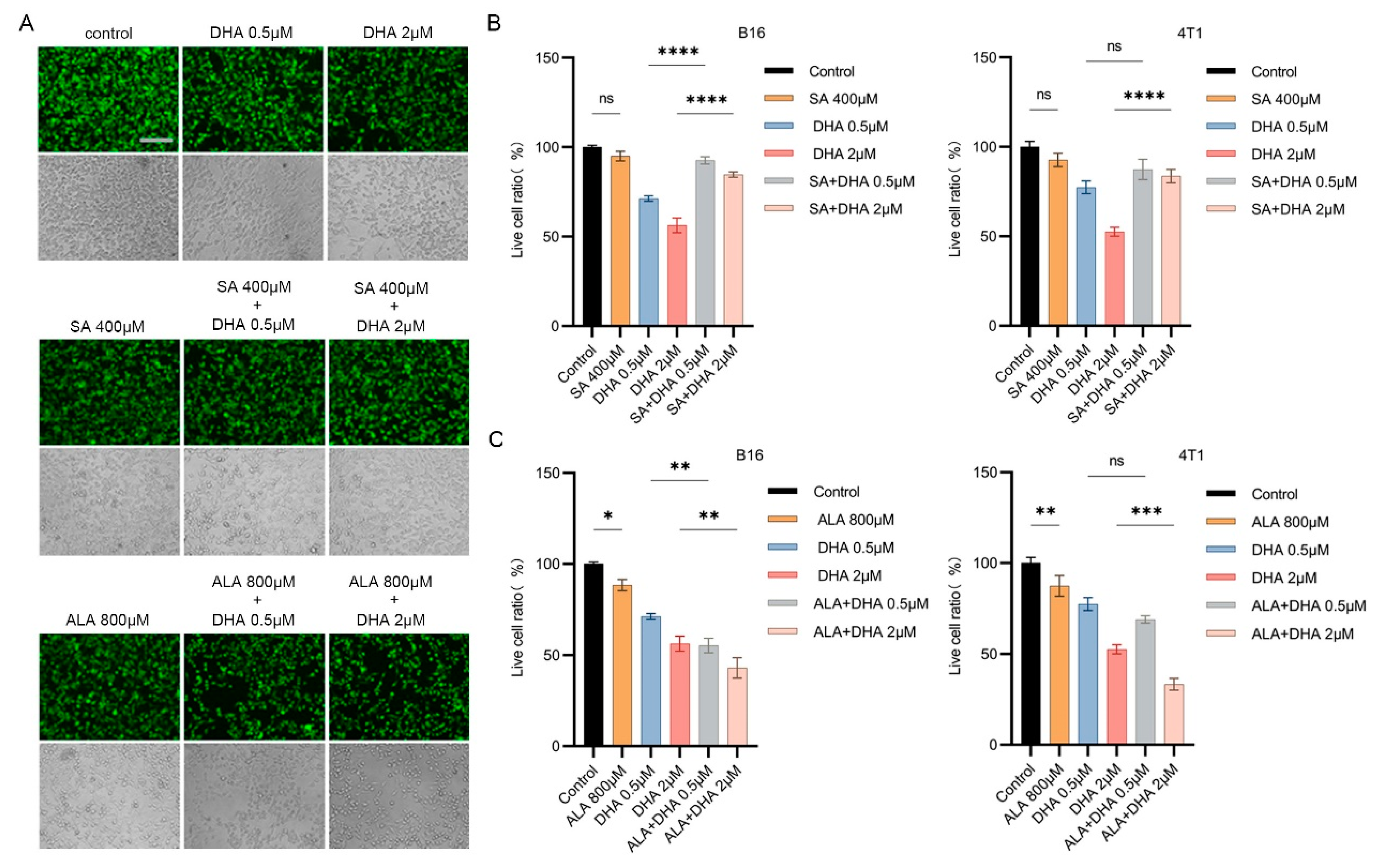 Antioxidants 12 00250 g002 Antioxidants 12 00250 g002