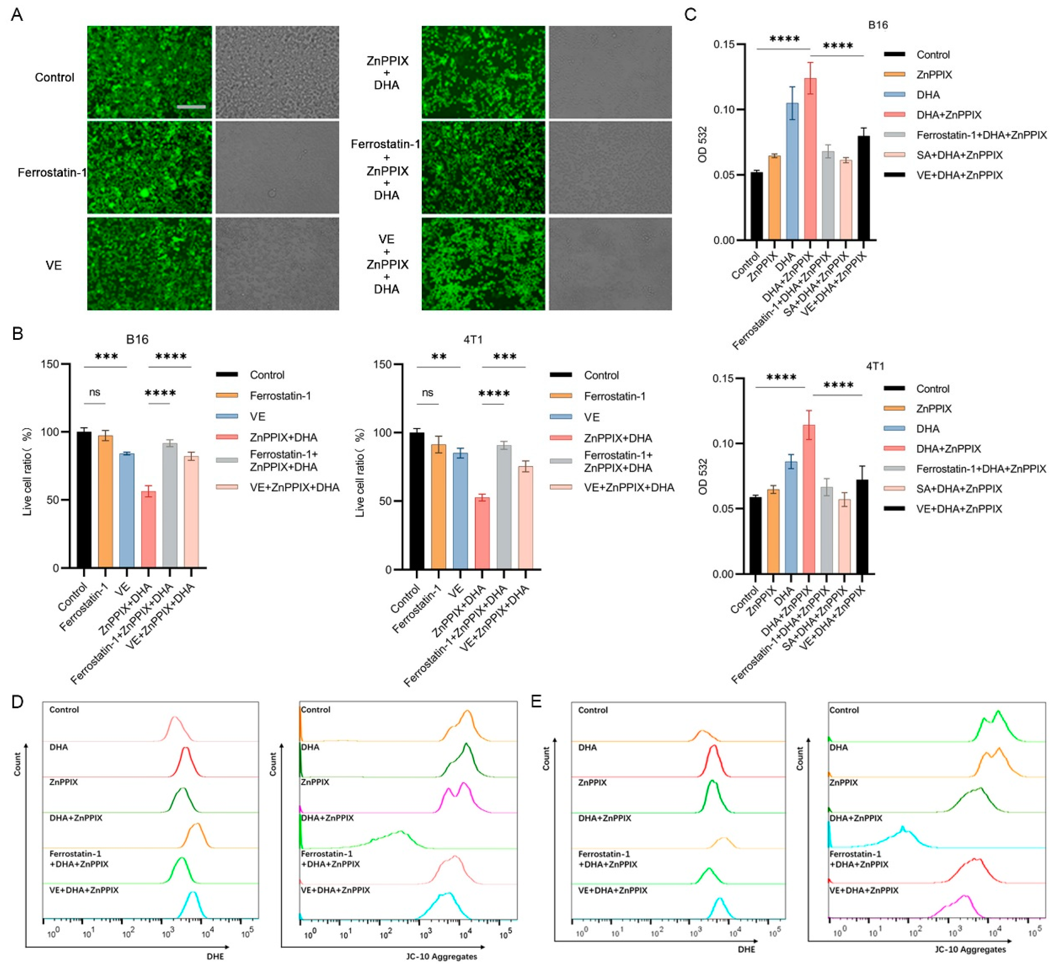 Antioxidants 12 00250 g004 Antioxidants 12 00250 g004