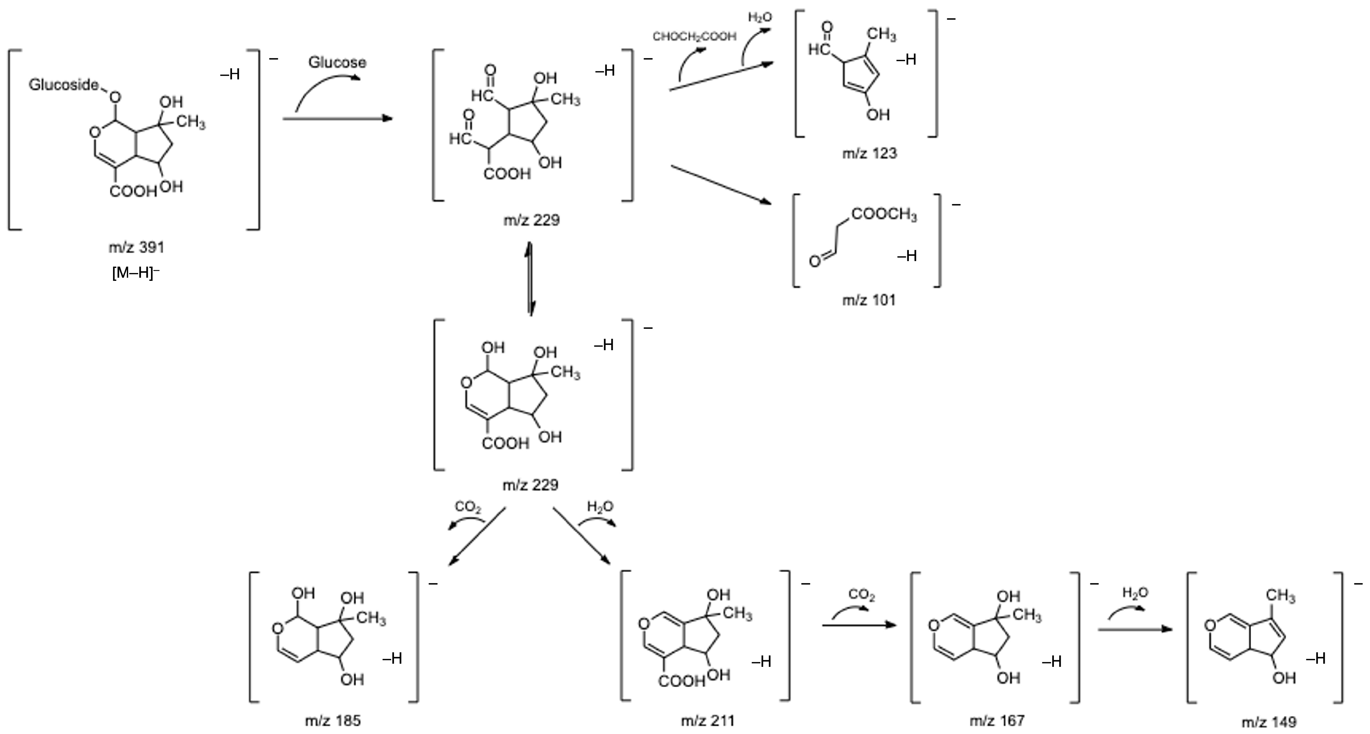 Antioxidants 12 00251 g002