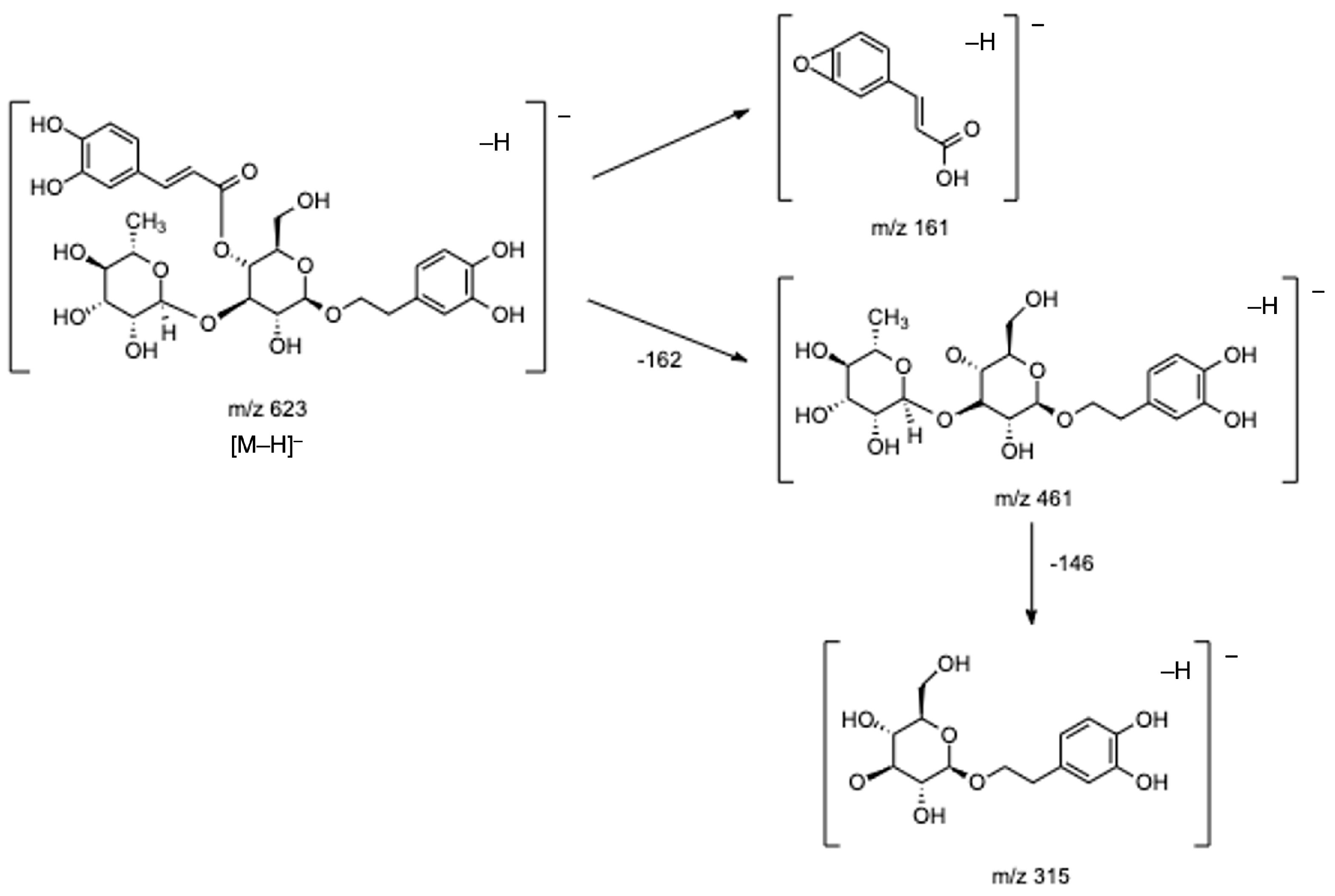 Antioxidants 12 00251 g004