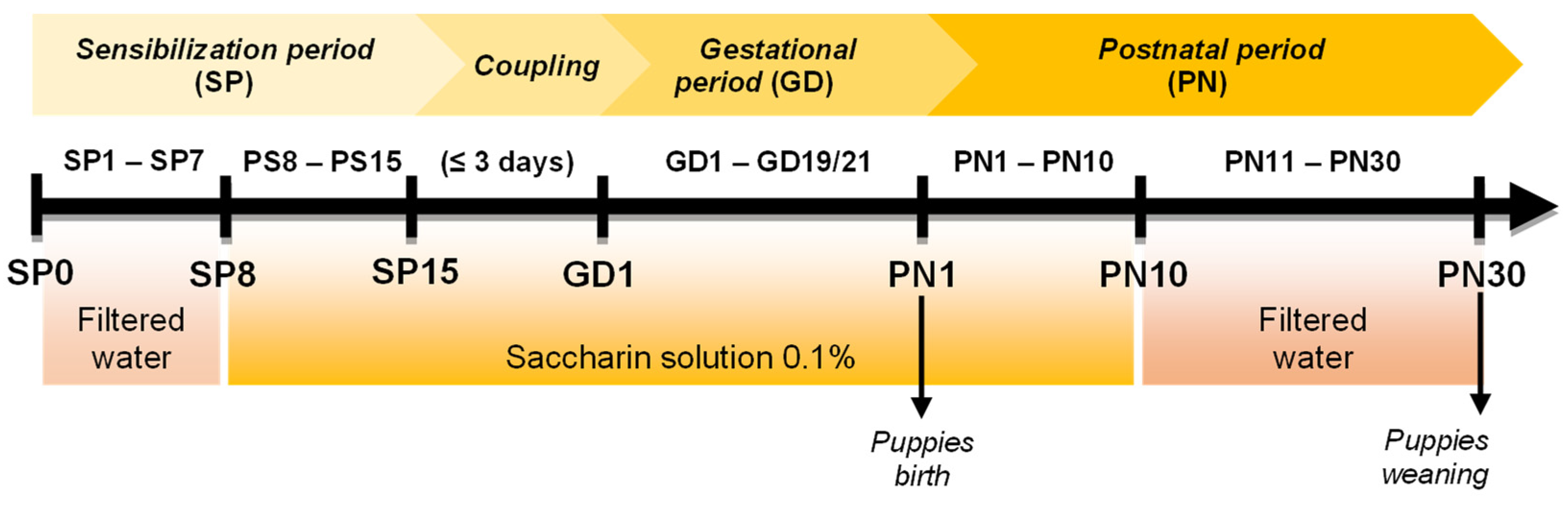 Antioxidants 12 00256 g003