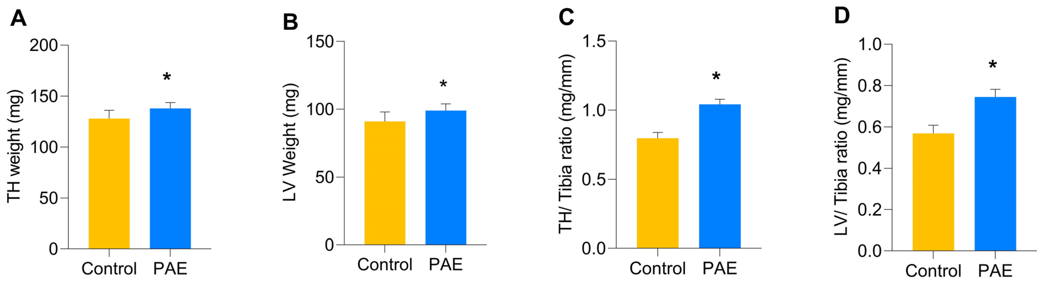 Antioxidants 12 00256 g007