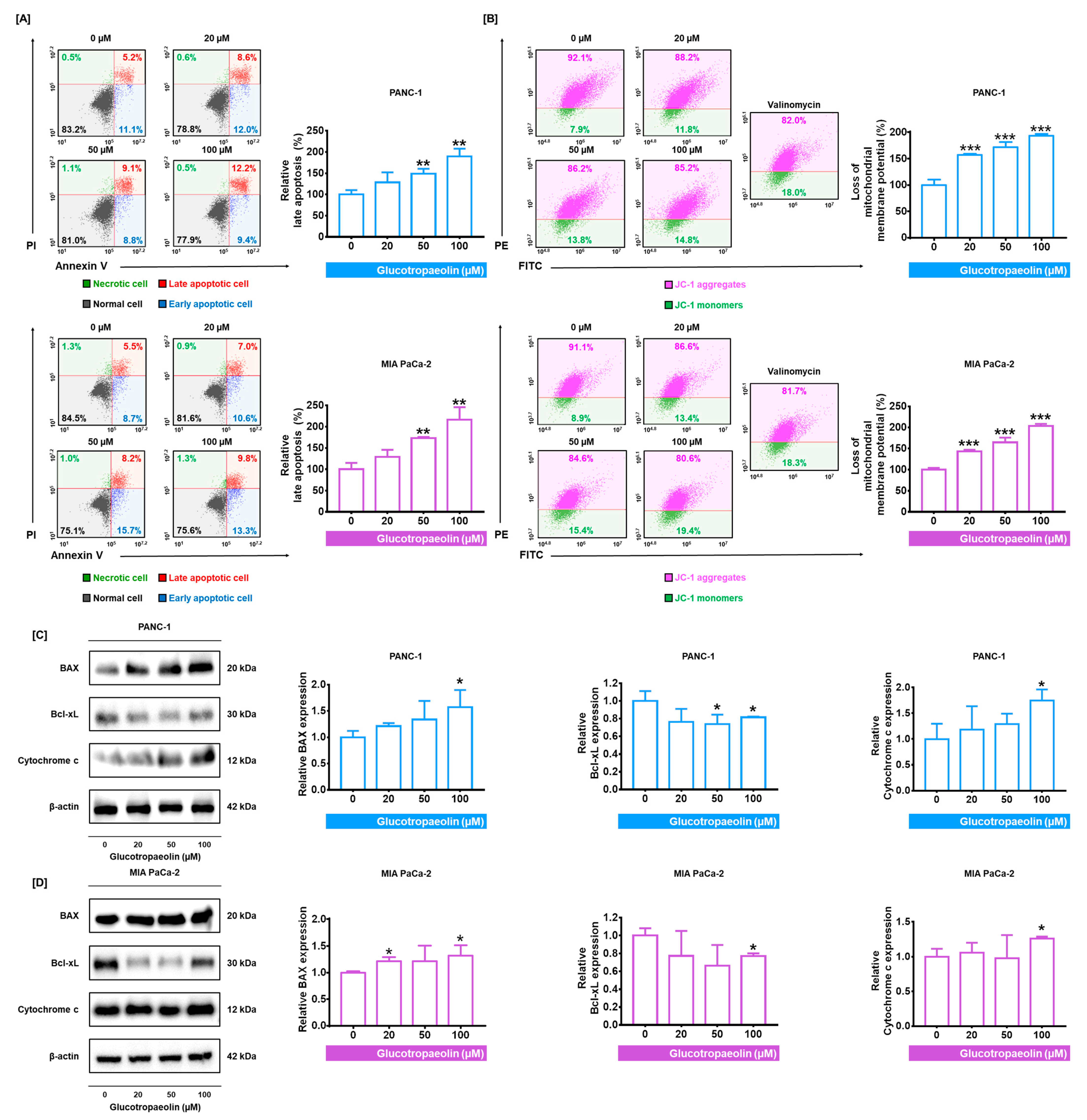 Antioxidants 12 00257 g002