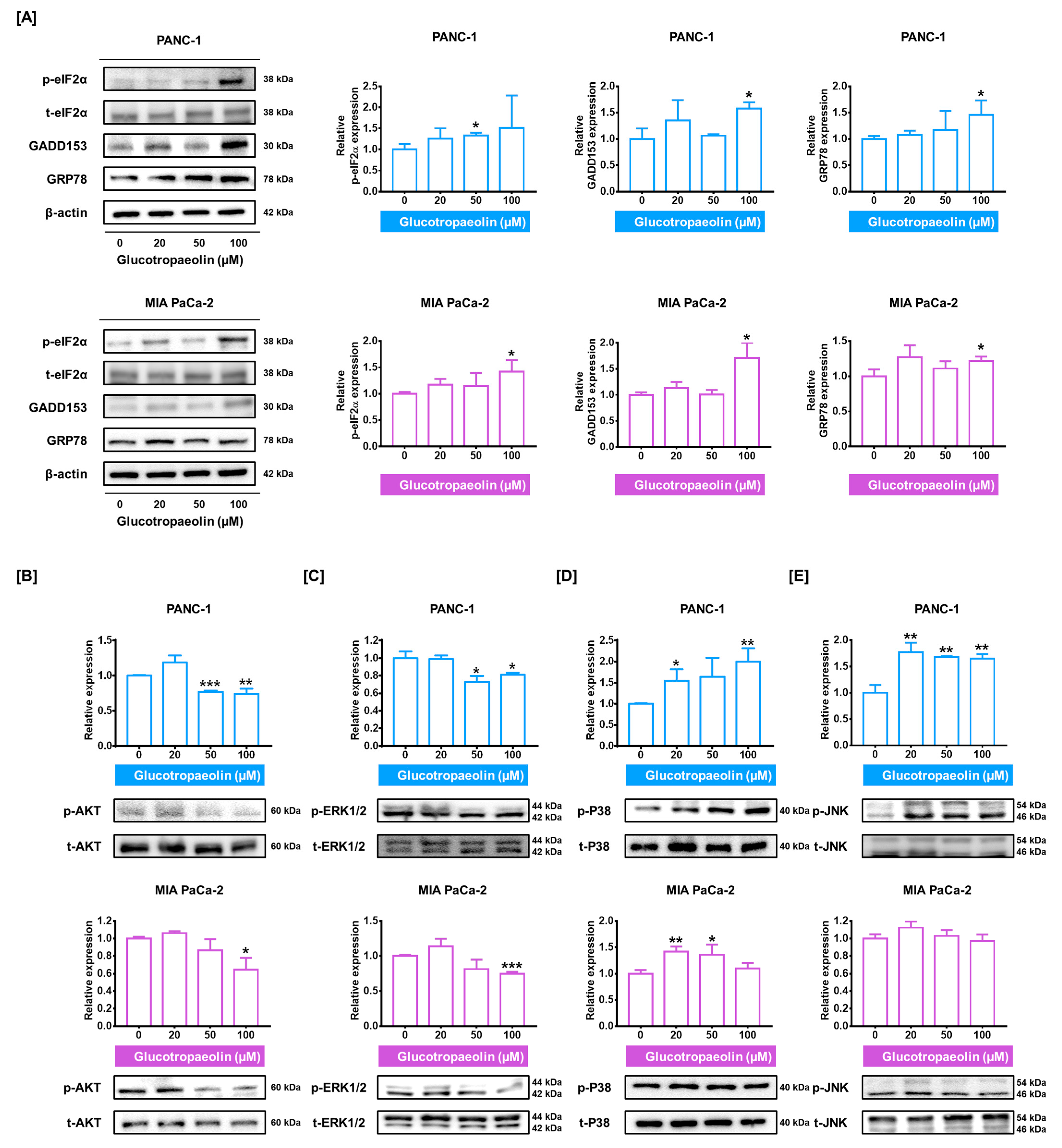 Antioxidants 12 00257 g004