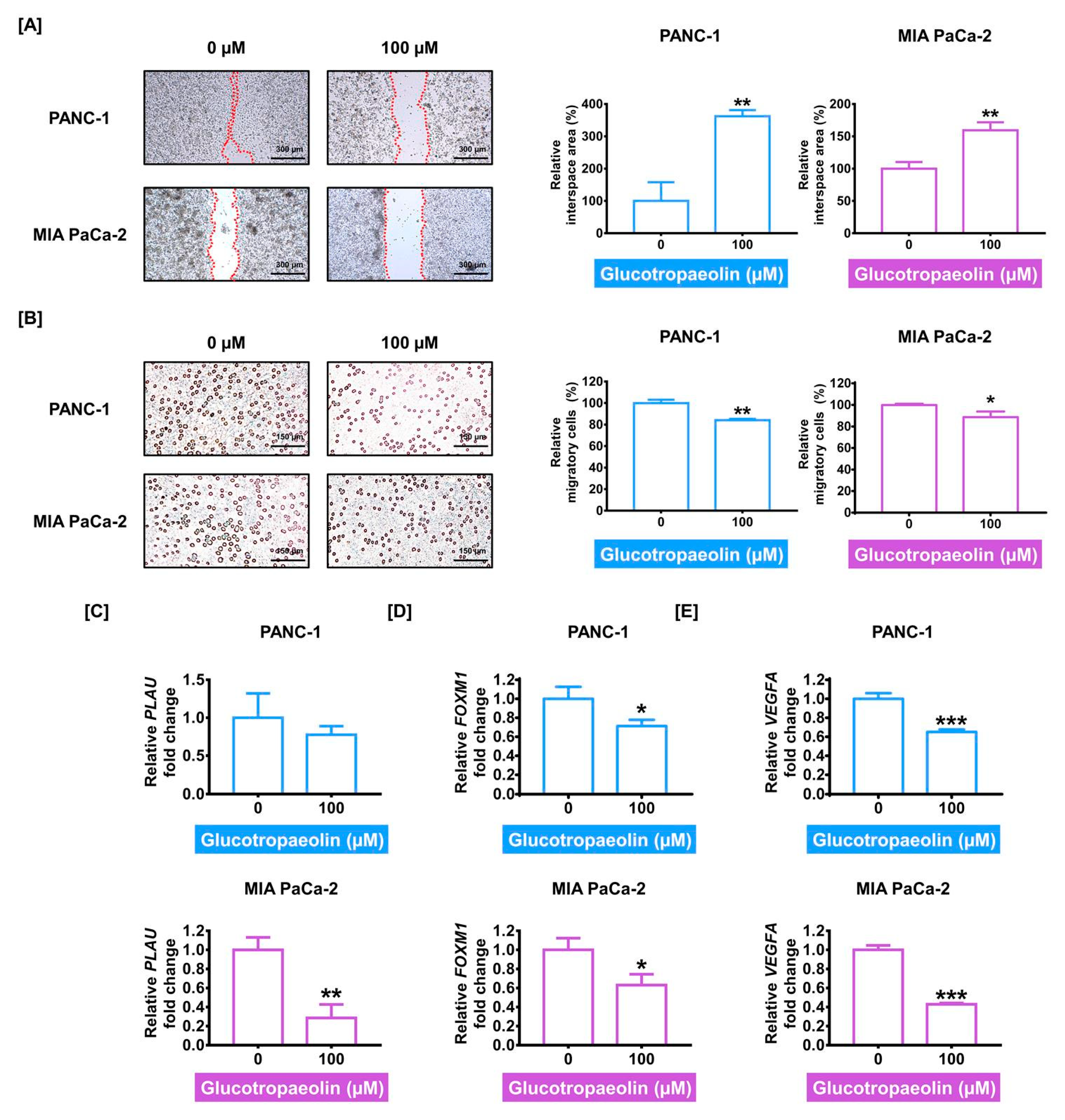 Antioxidants 12 00257 g005