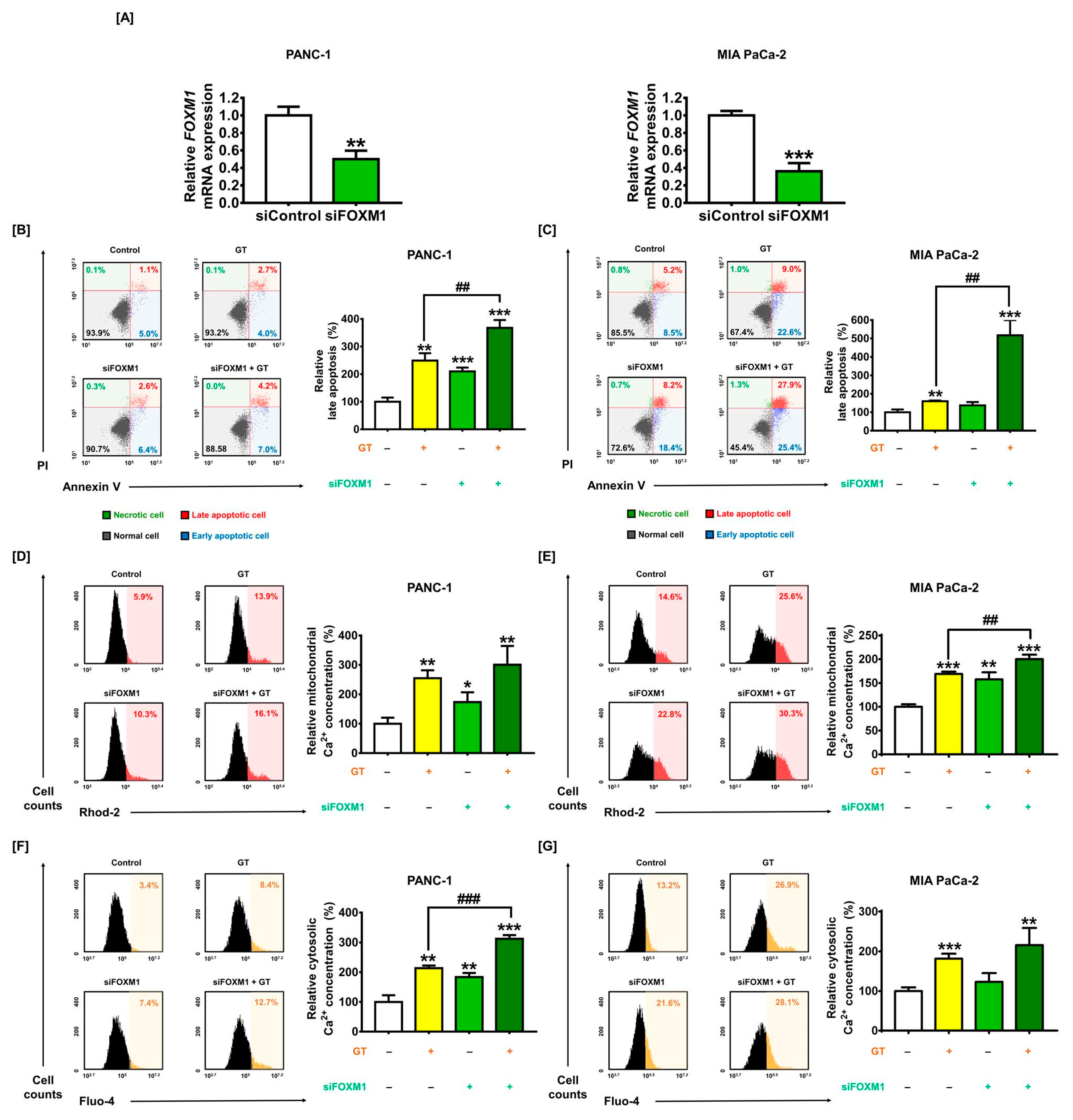 Antioxidants 12 00257 g006