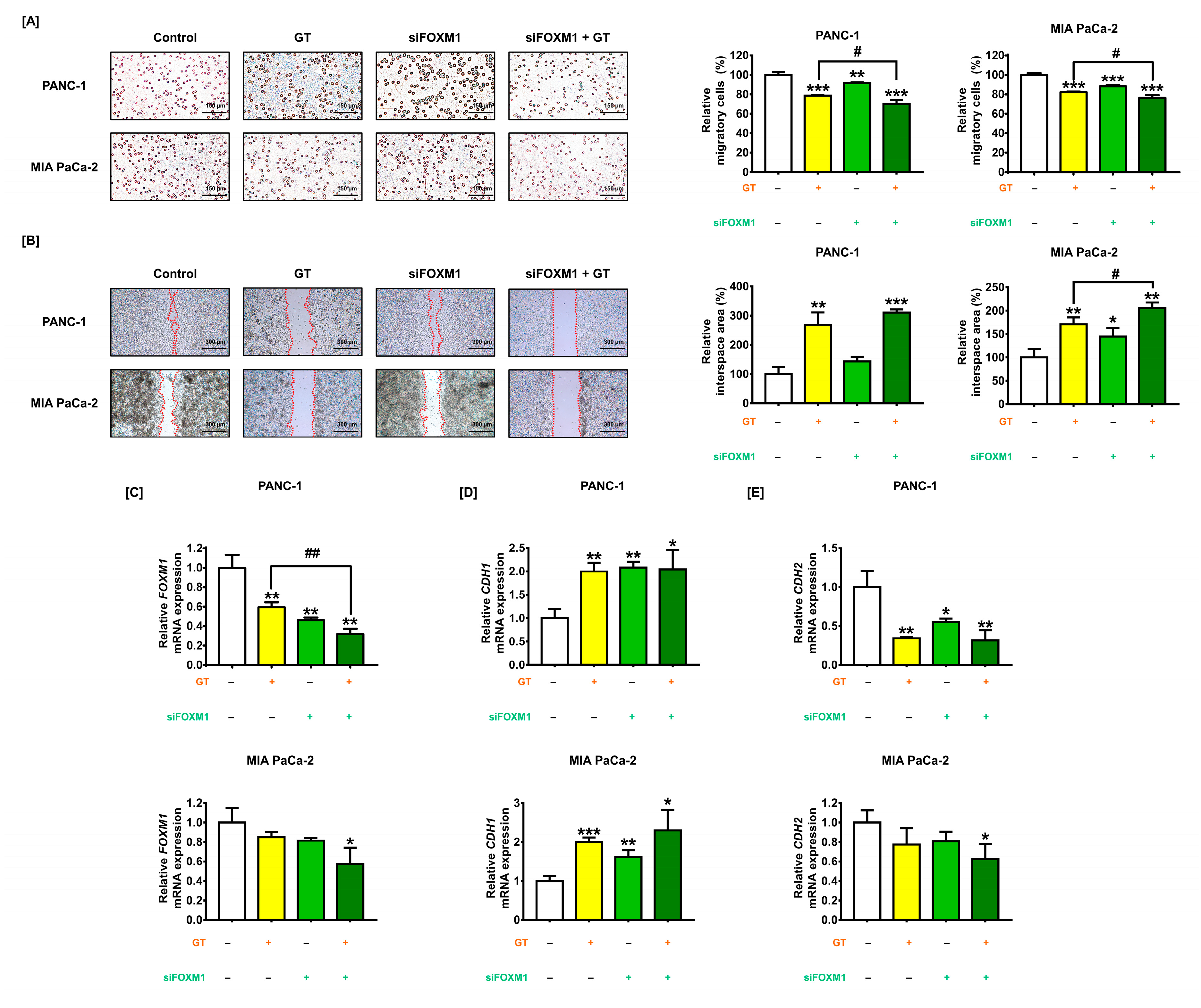 Antioxidants 12 00257 g007