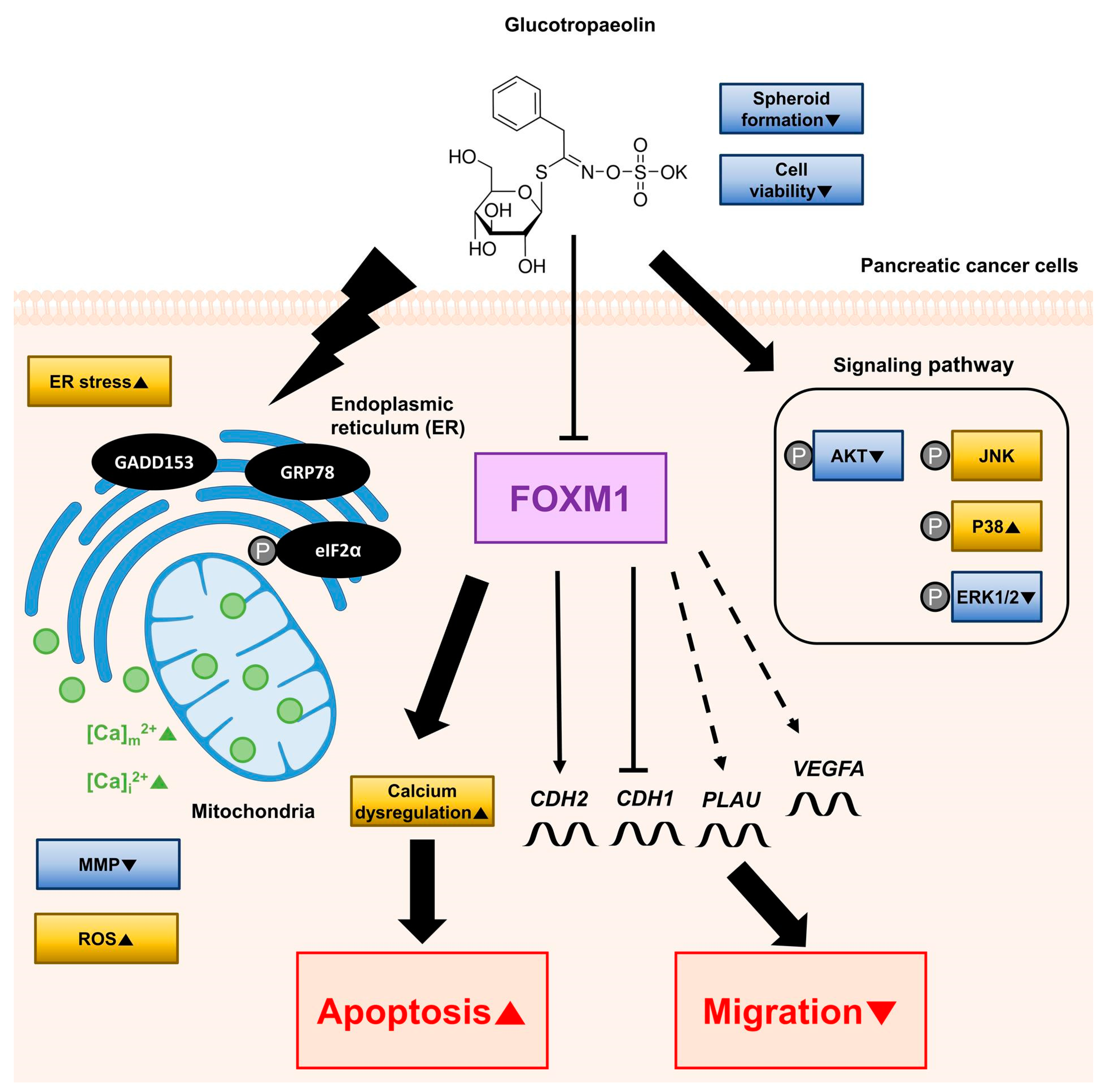 Antioxidants 12 00257 g008