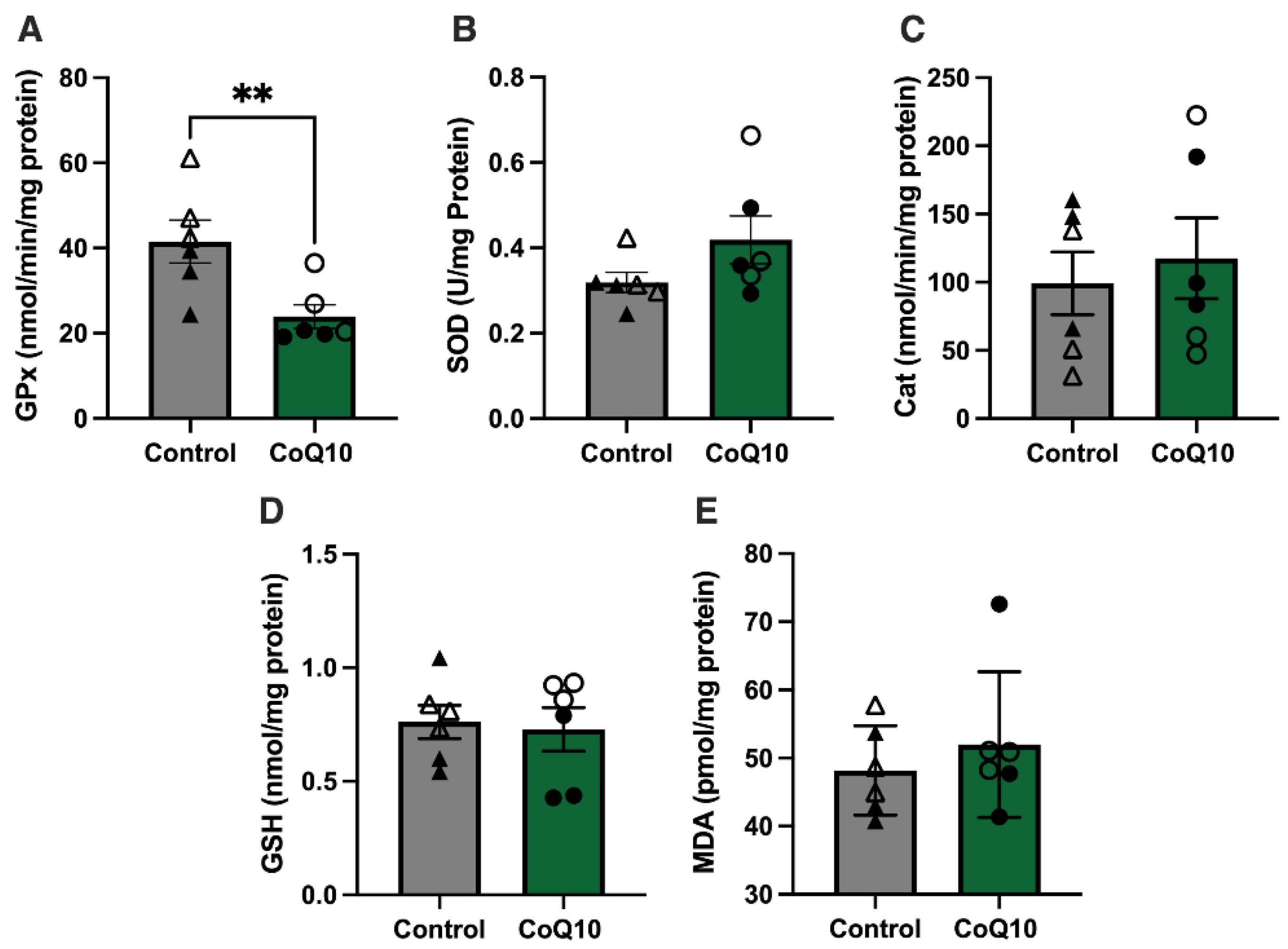 Antioxidants 12 00263 g005