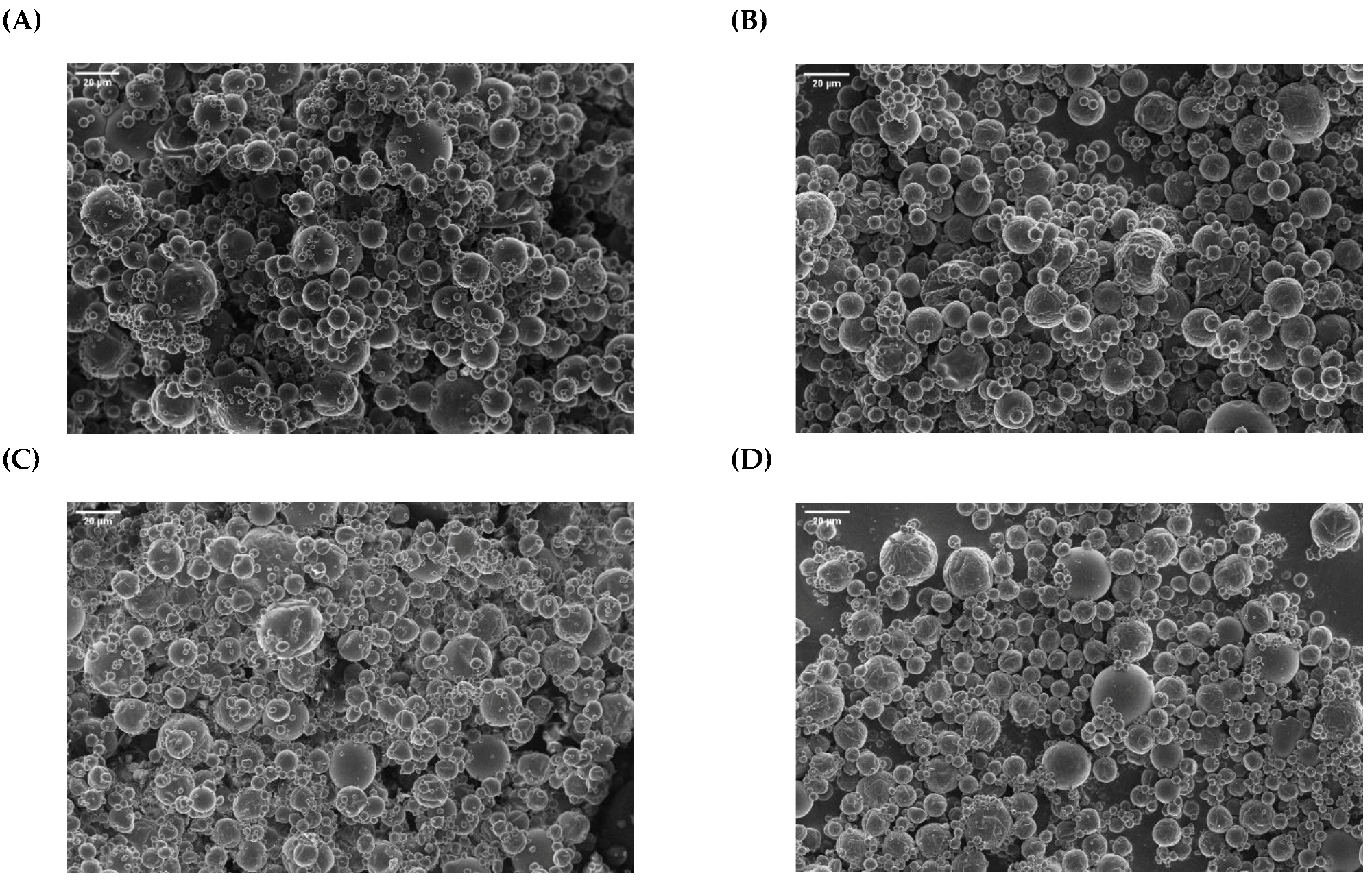 Antioxidants 12 00266 g001 Antioxidants 12 00266 g001
