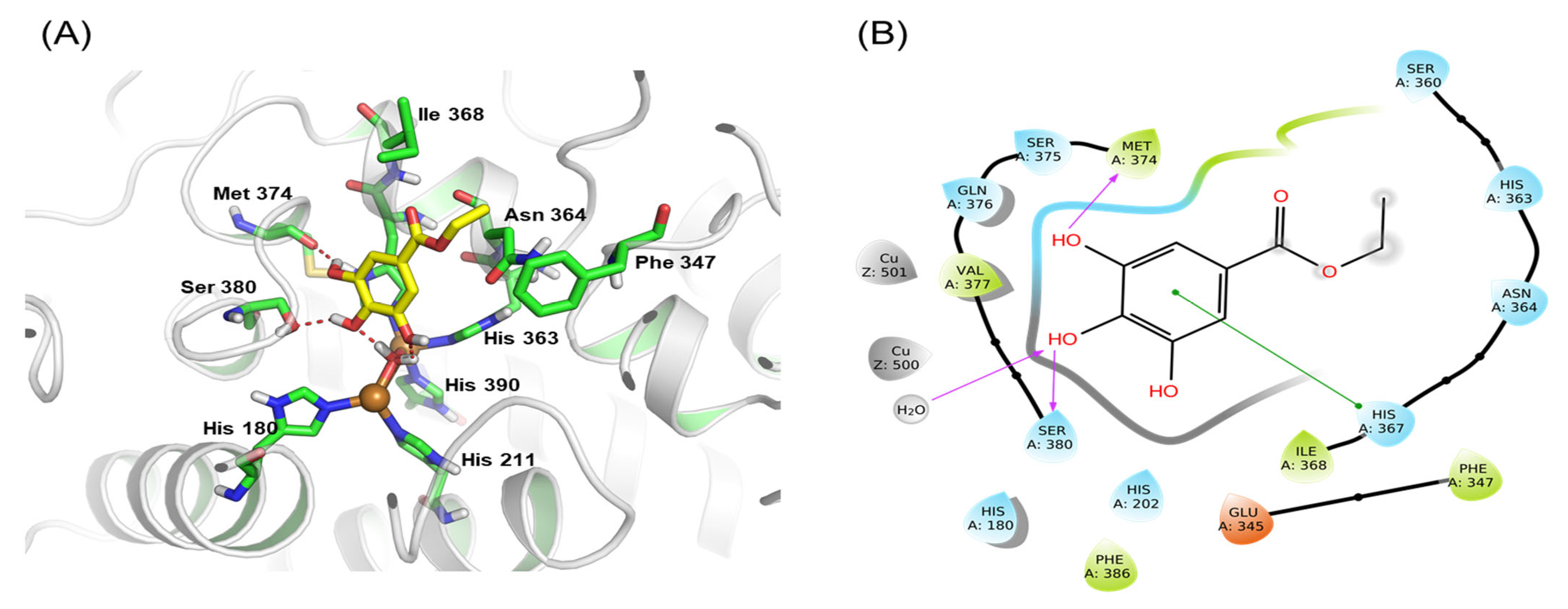 Antioxidants 12 00269 g007