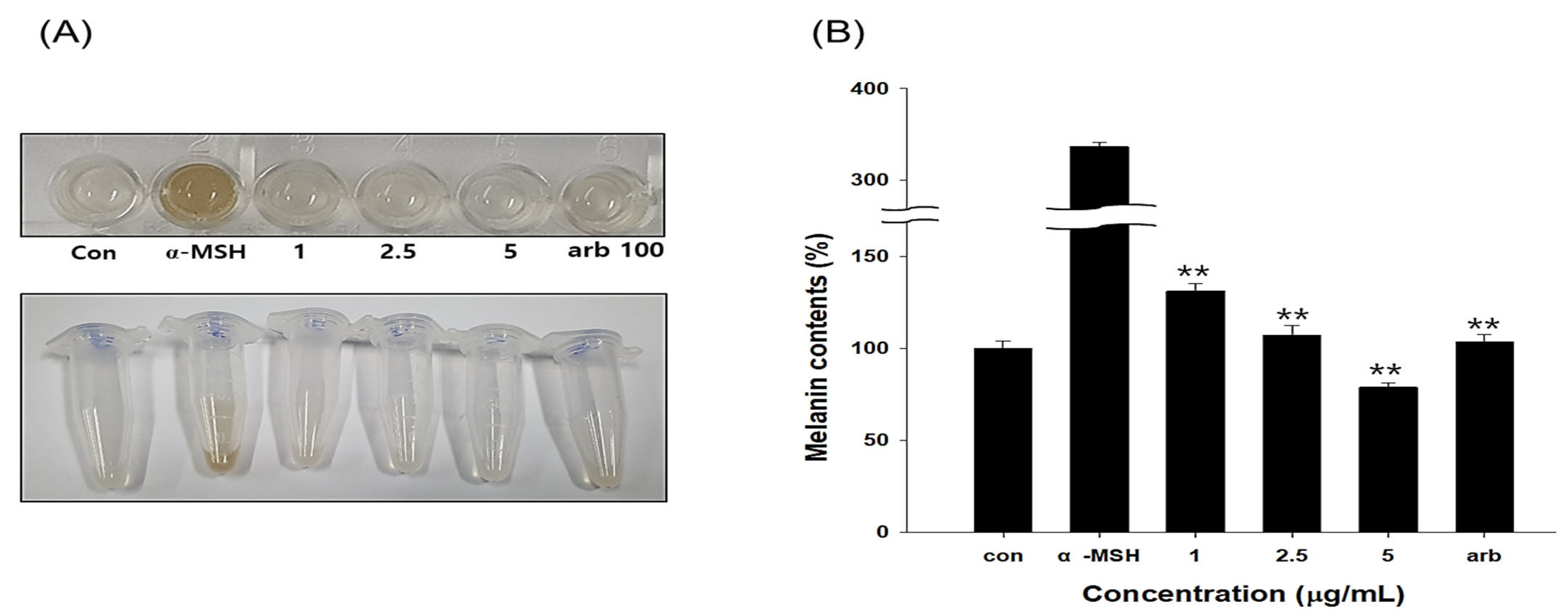 Antioxidants 12 00269 g009