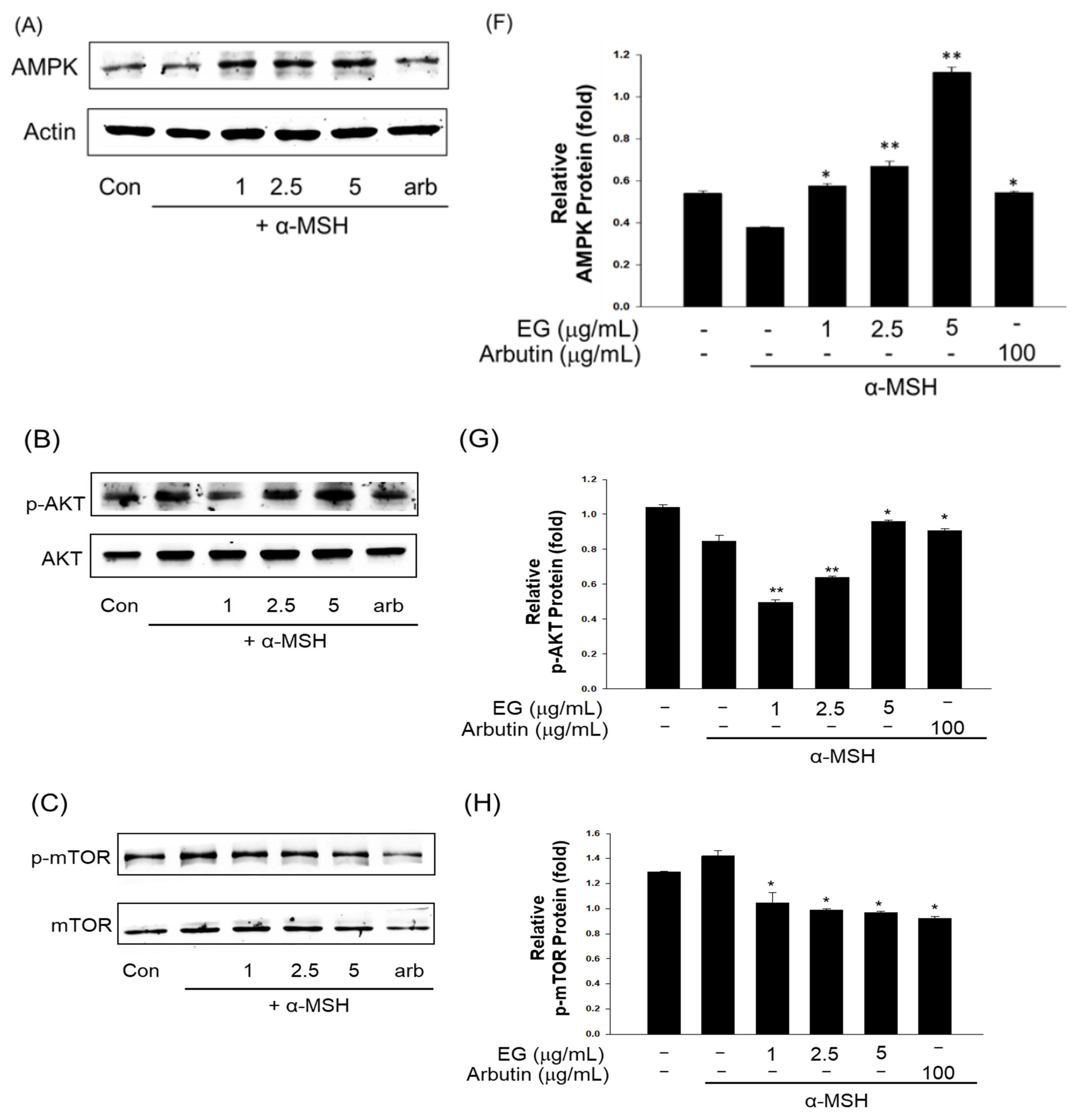 Antioxidants 12 00269 g011a