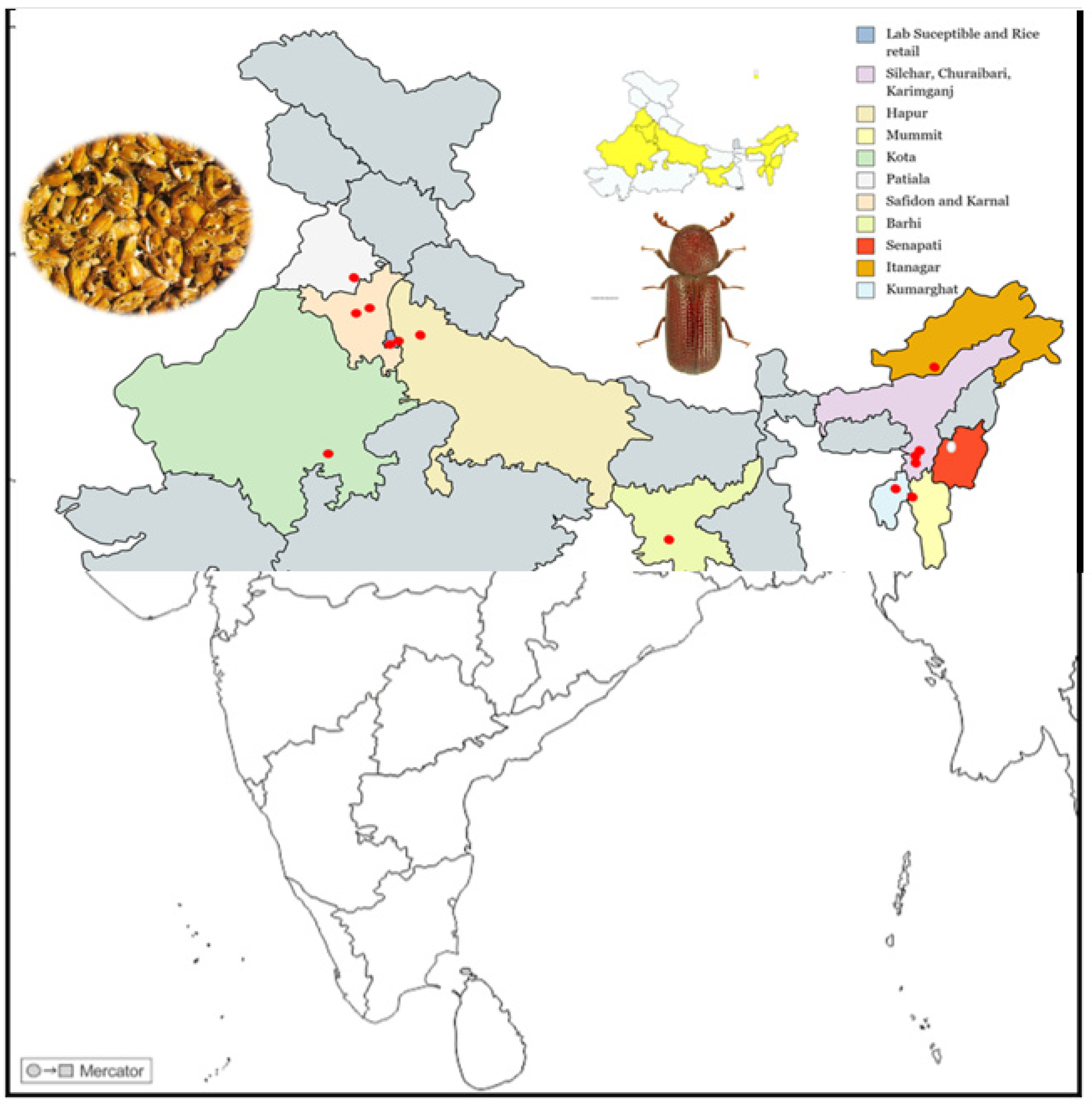 Antioxidants 12 00270 g001