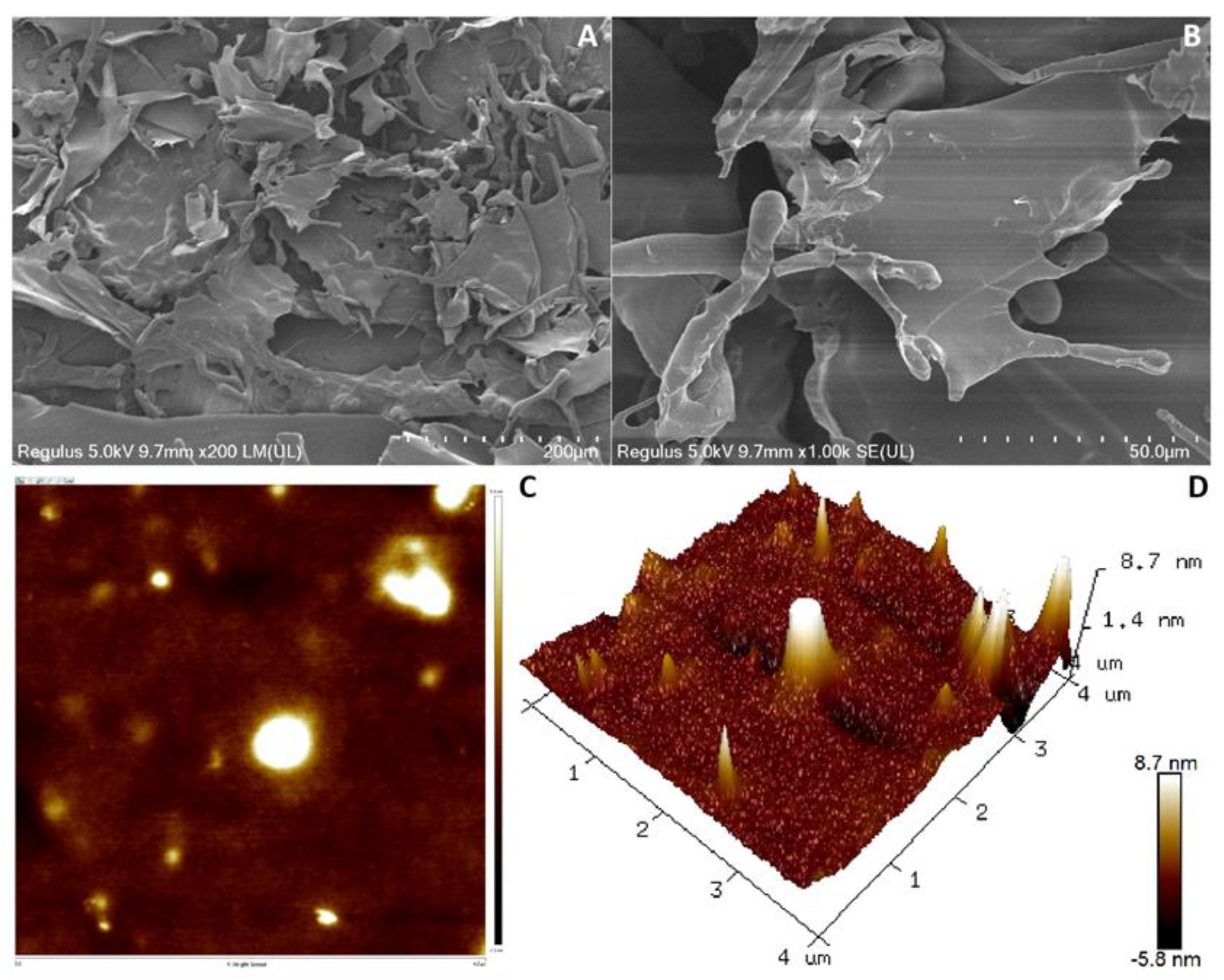 Antioxidants 12 00275 g004 Antioxidants 12 00275 g004