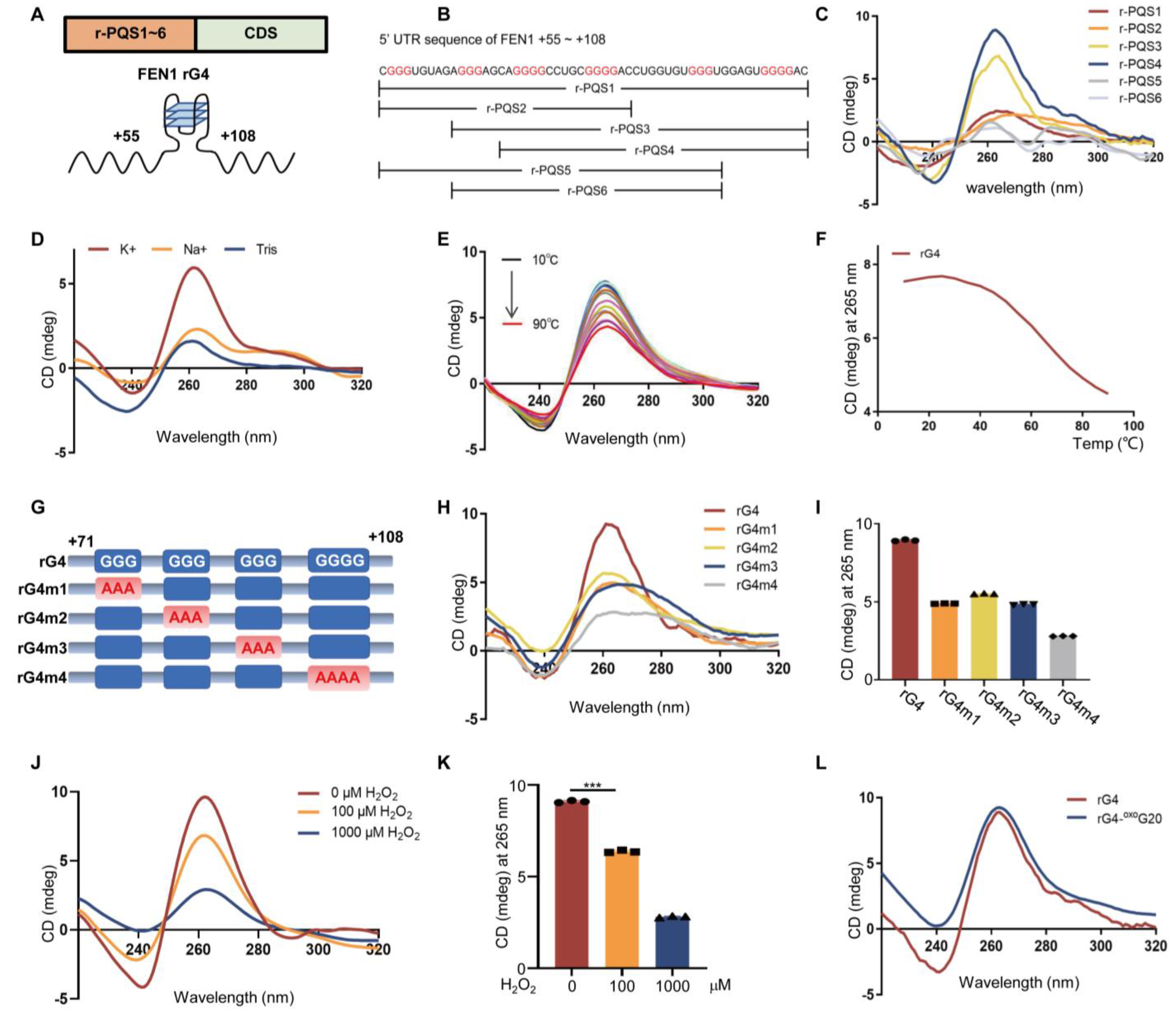 Antioxidants 12 00276 g002
