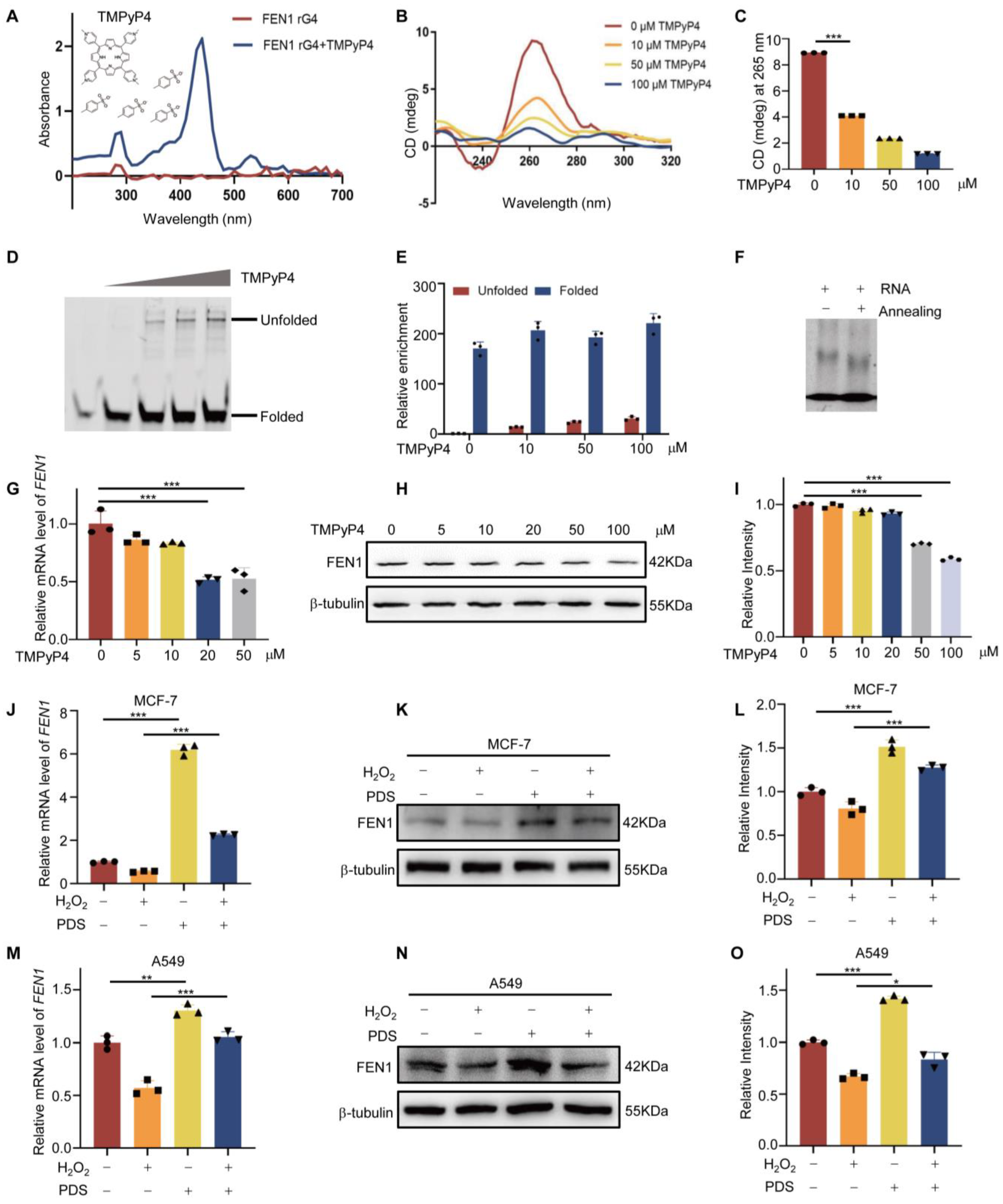 Antioxidants 12 00276 g003