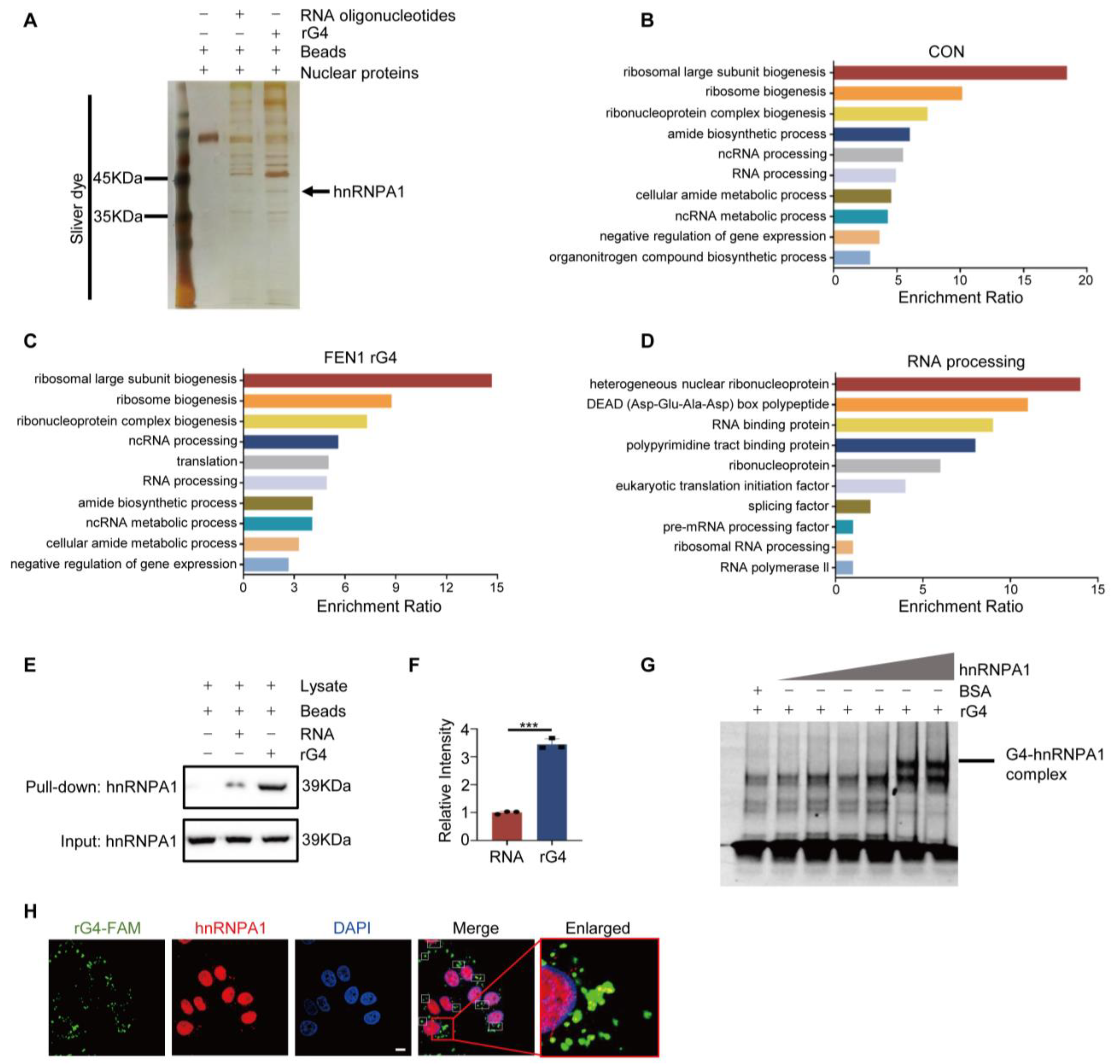 Antioxidants 12 00276 g004