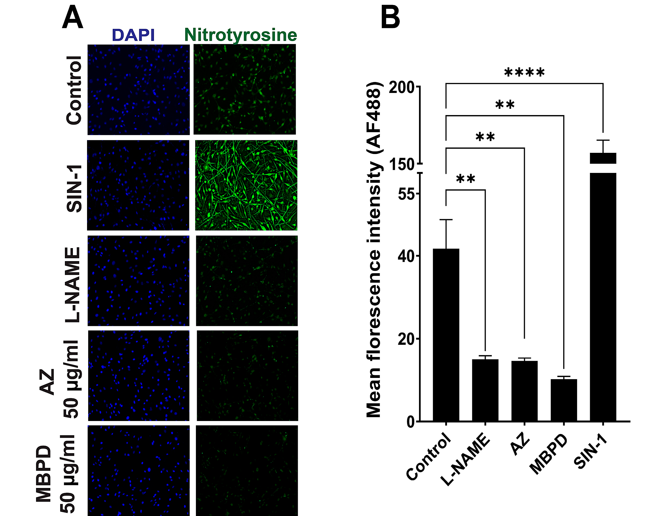 Antioxidants 12 00278 g007