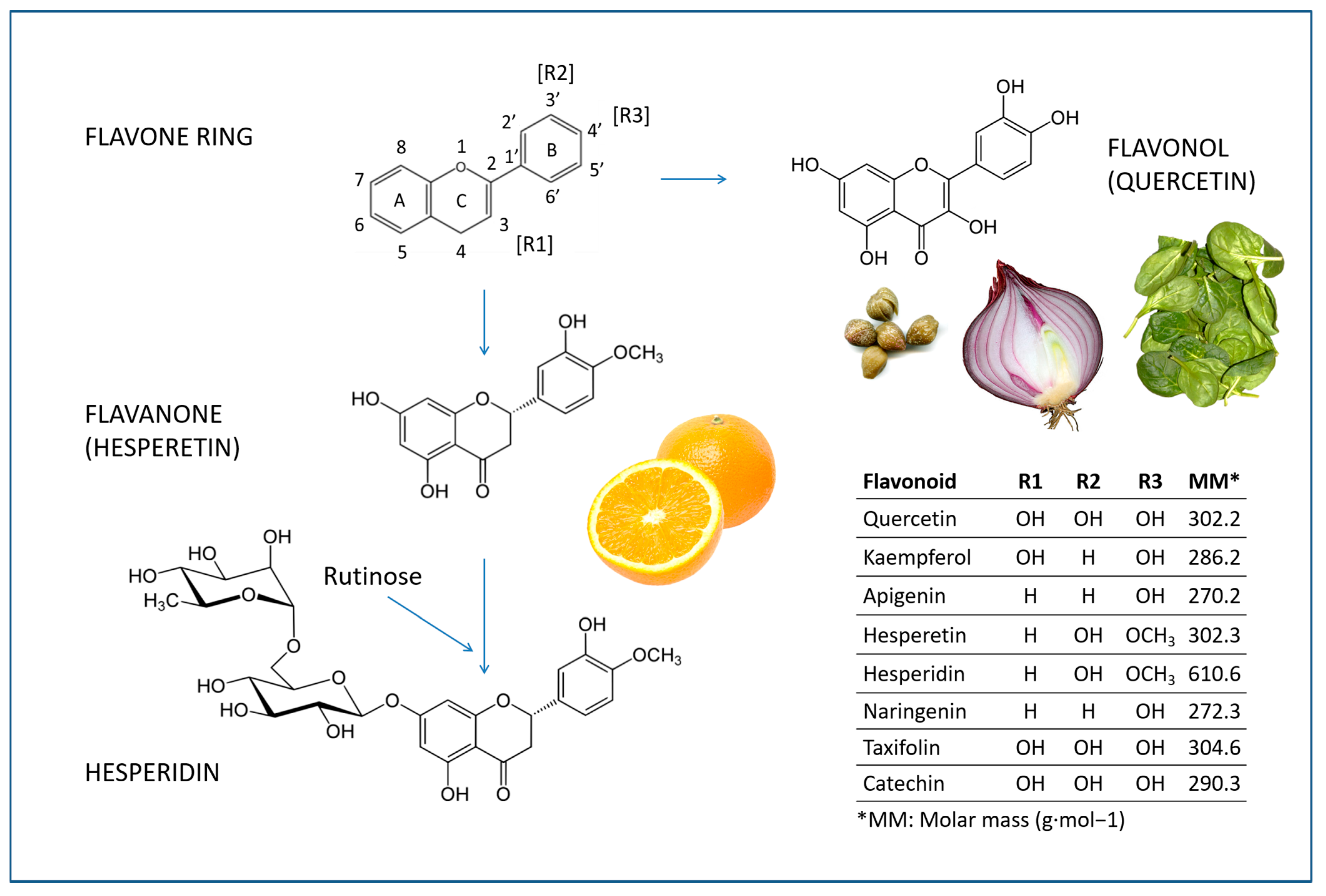 Antioxidants 12 00280 g004 Antioxidants 12 00280 g004