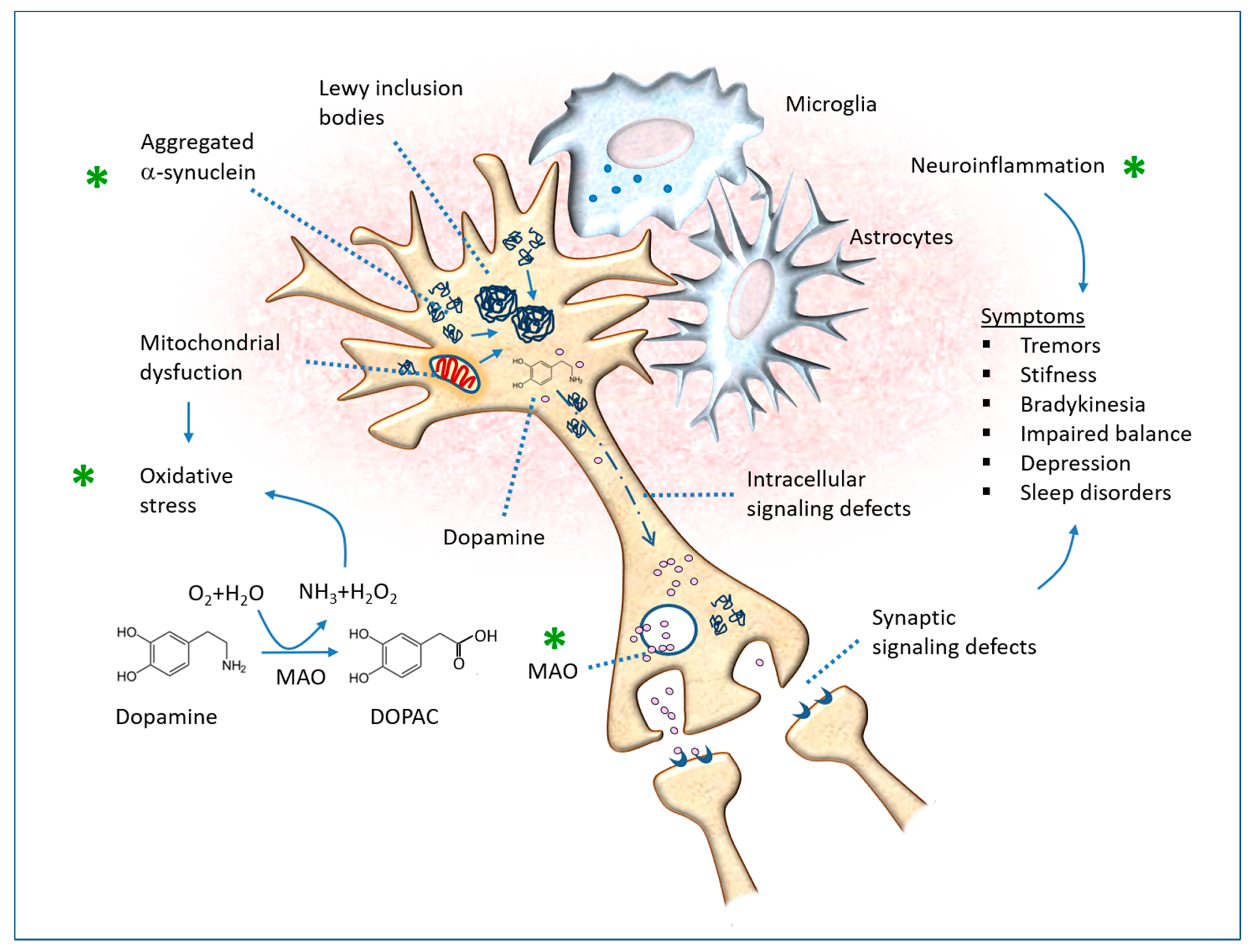 Antioxidants 12 00280 g007 Antioxidants 12 00280 g007