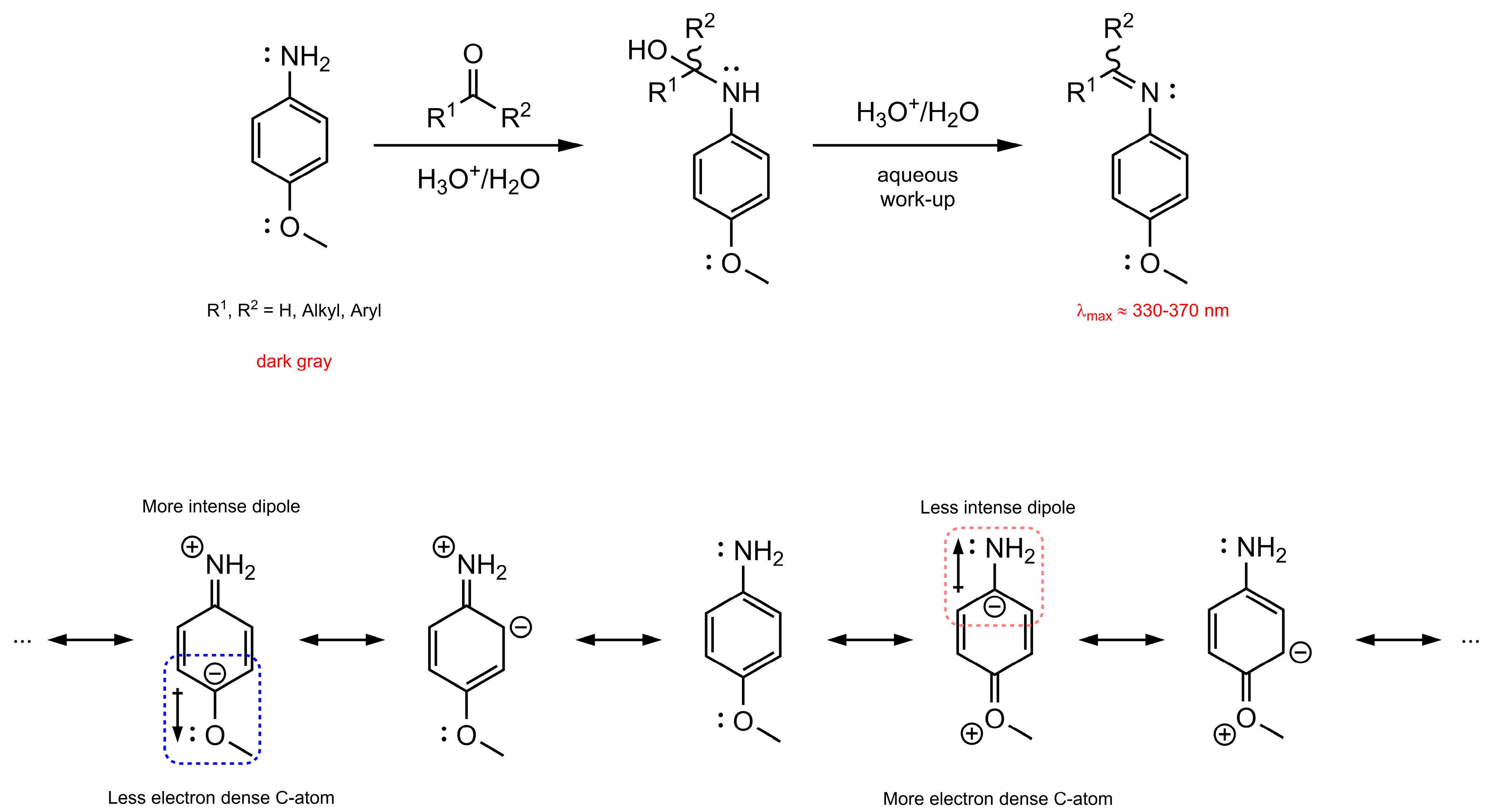 Antioxidants 12 00282 sch001