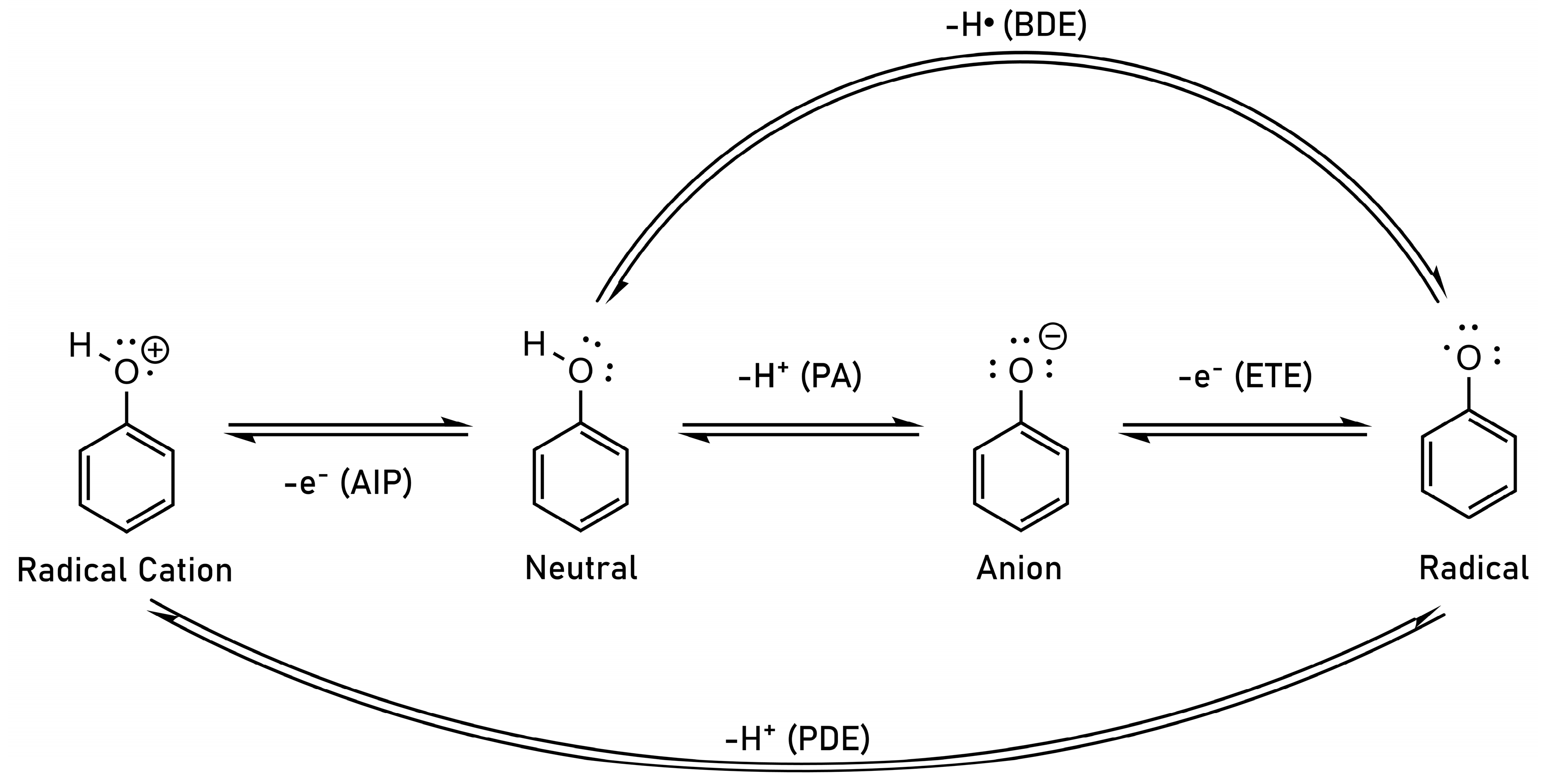 Antioxidants 12 00282 sch002
