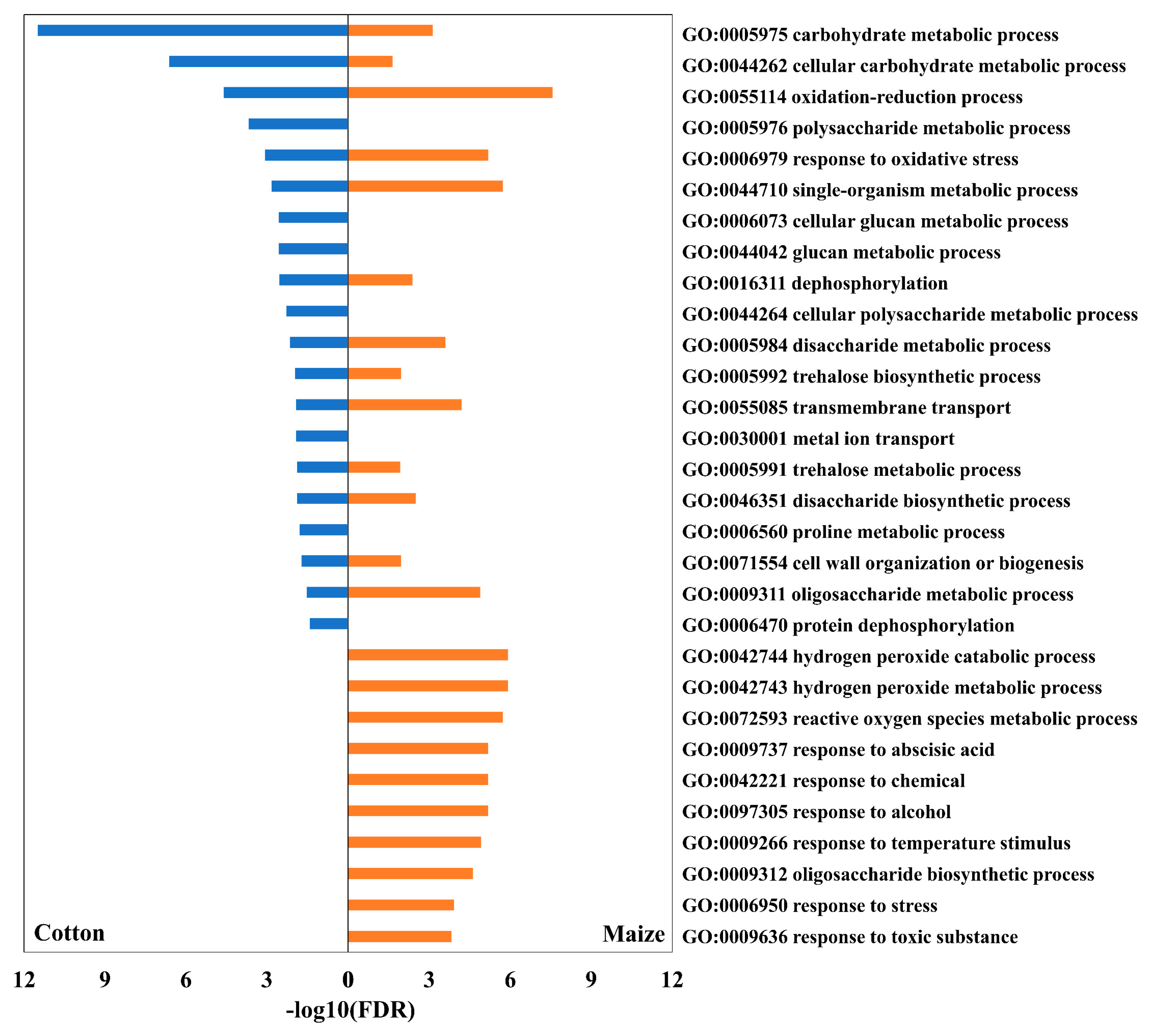 Antioxidants 12 00287 g002