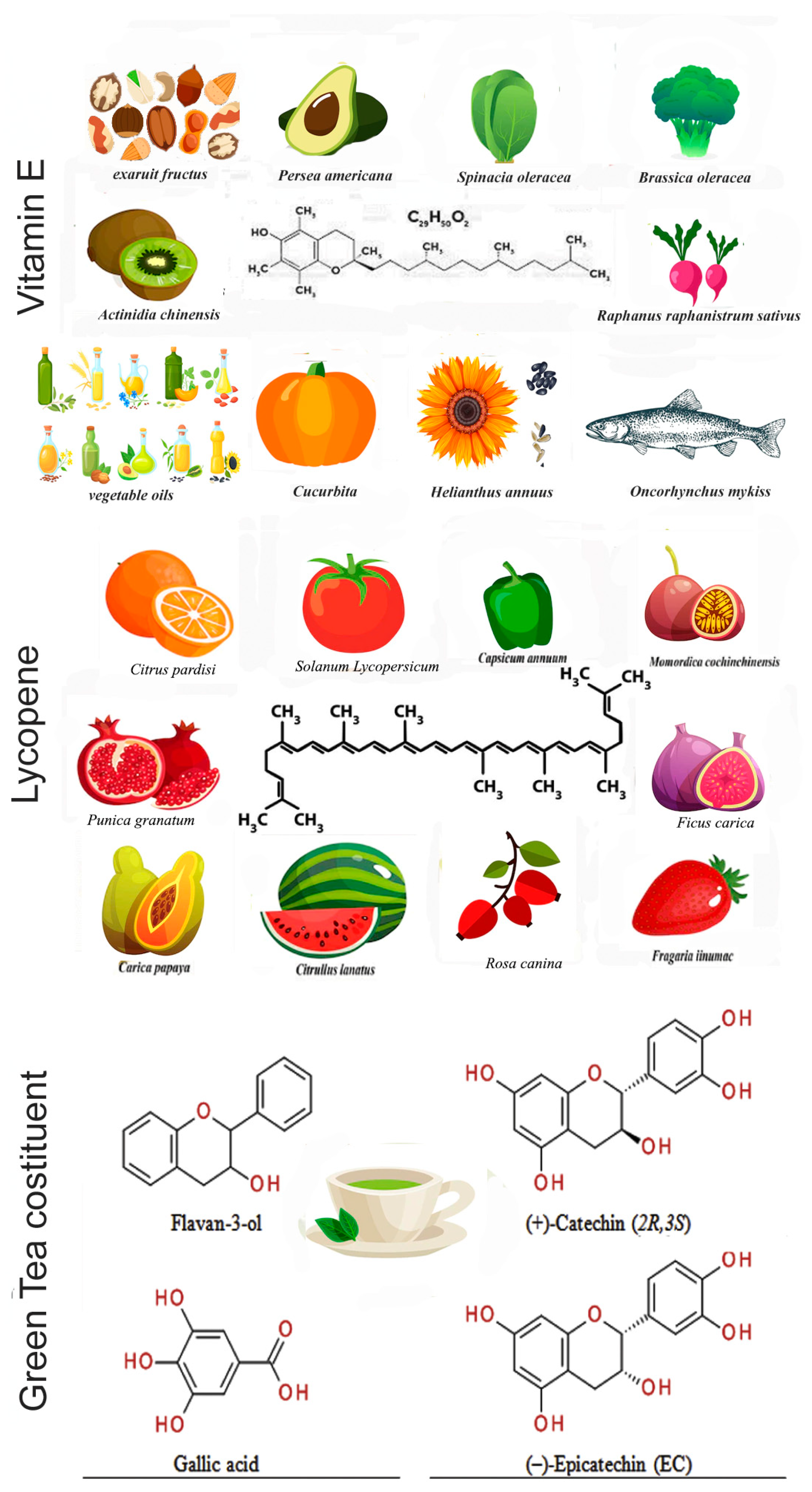 Antioxidants 12 00289 g001
