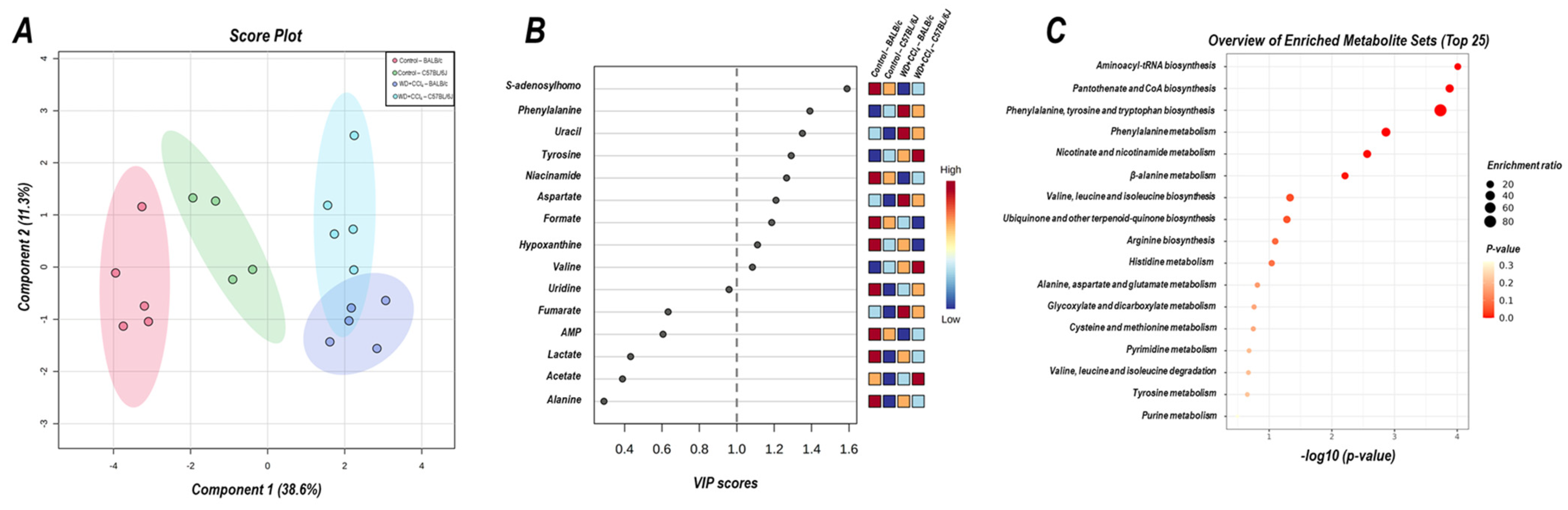 Antioxidants 12 00290 g006