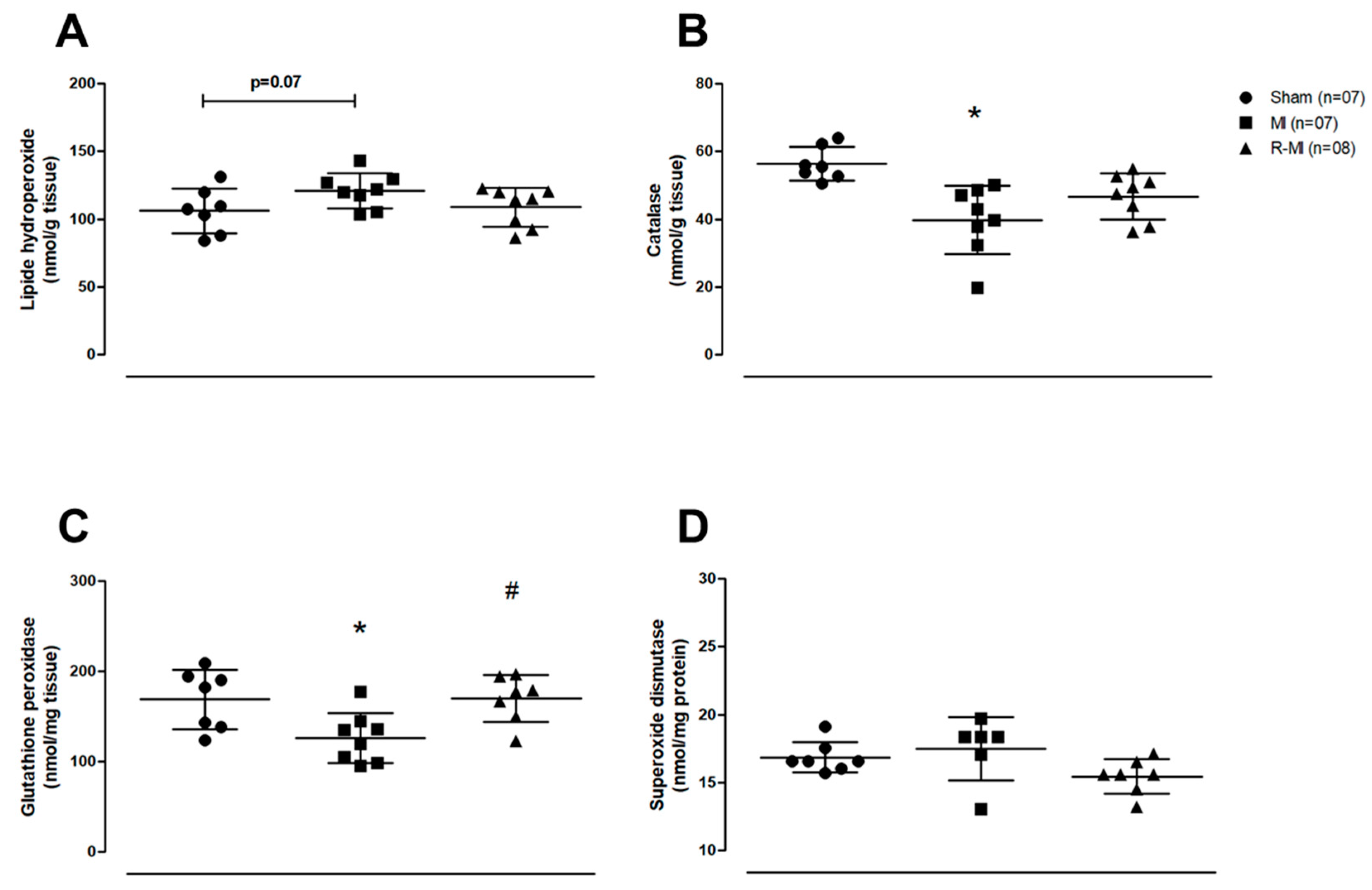 Antioxidants 12 00291 g005