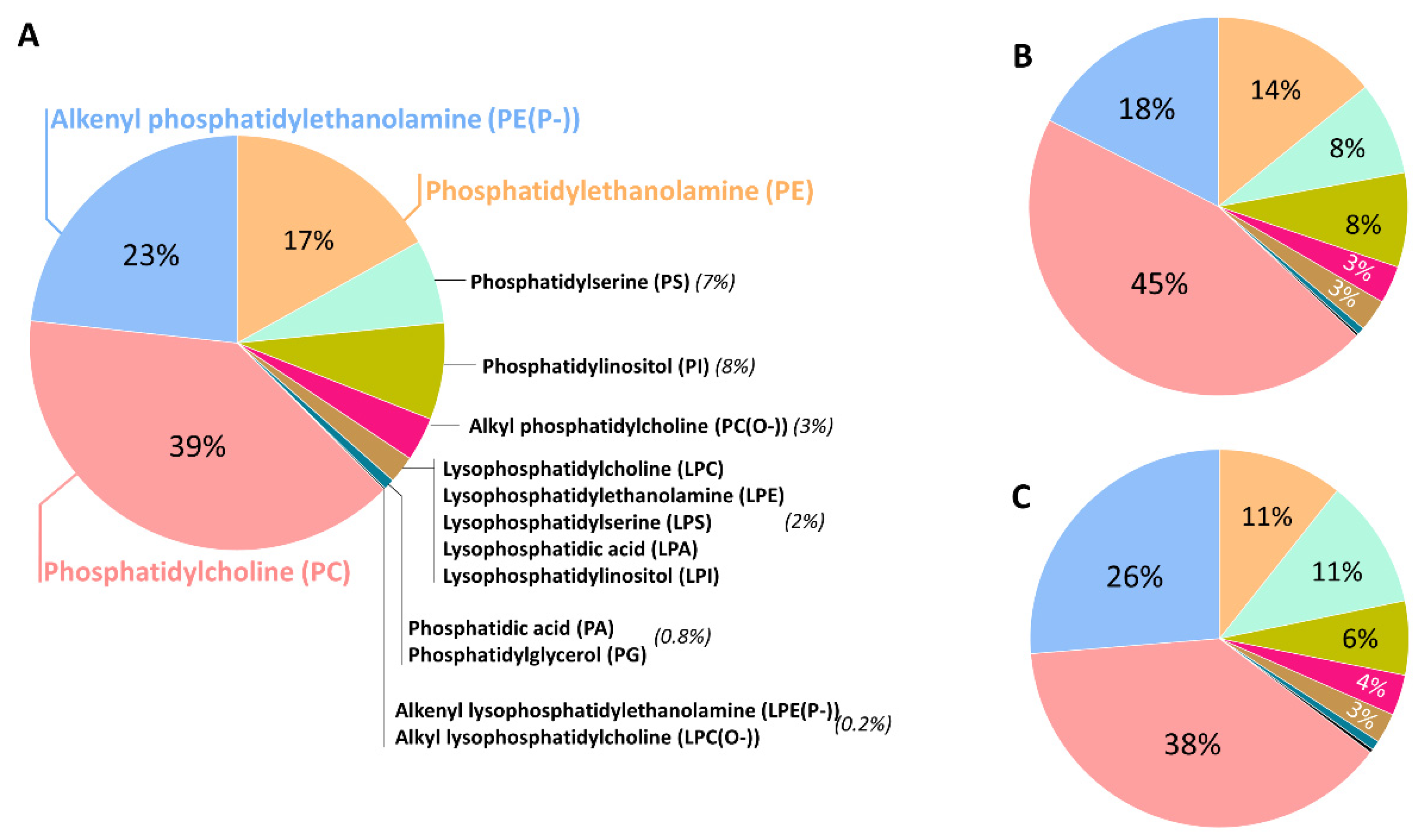 Antioxidants 12 00293 g001
