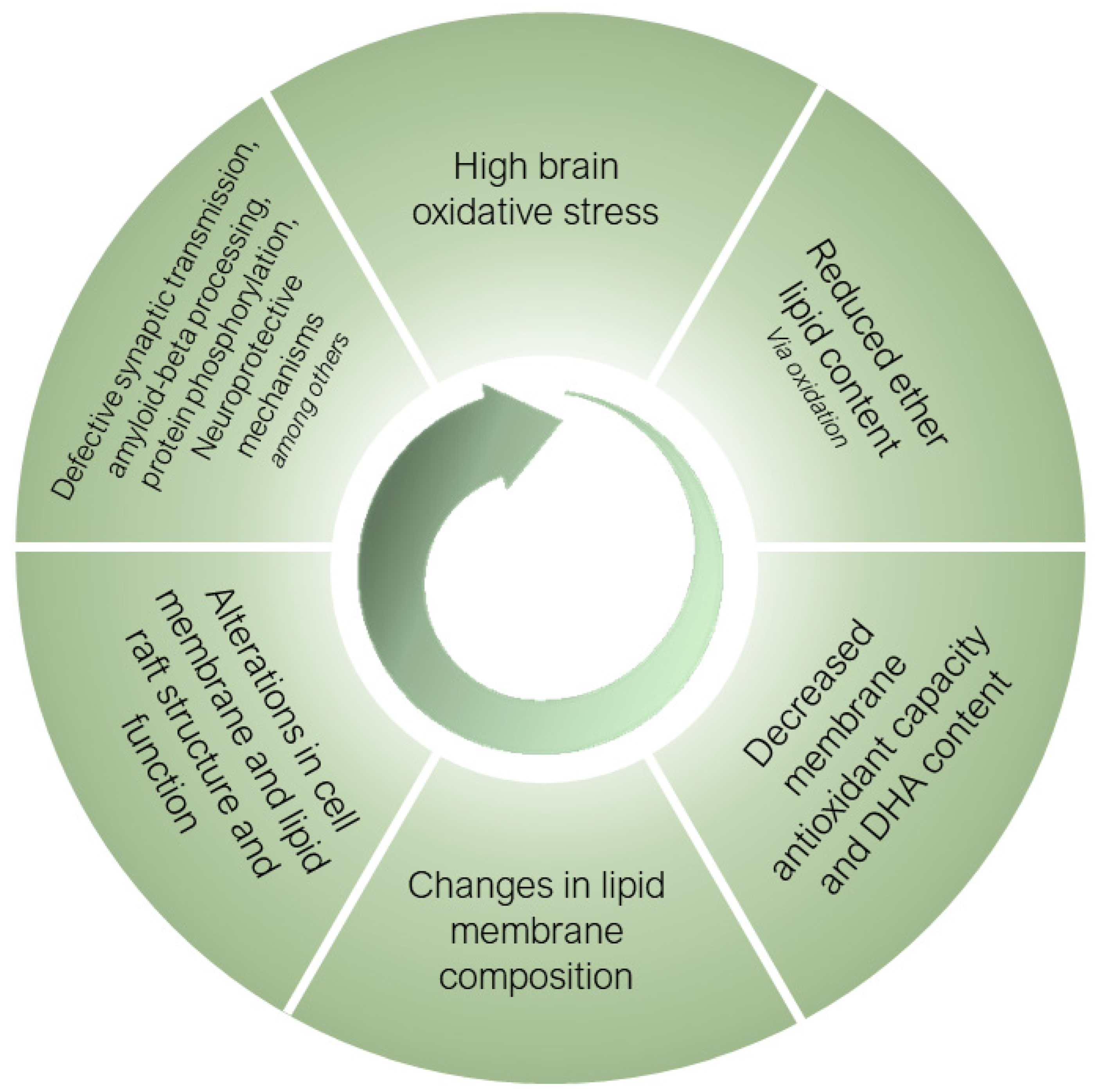 Antioxidants 12 00293 g003