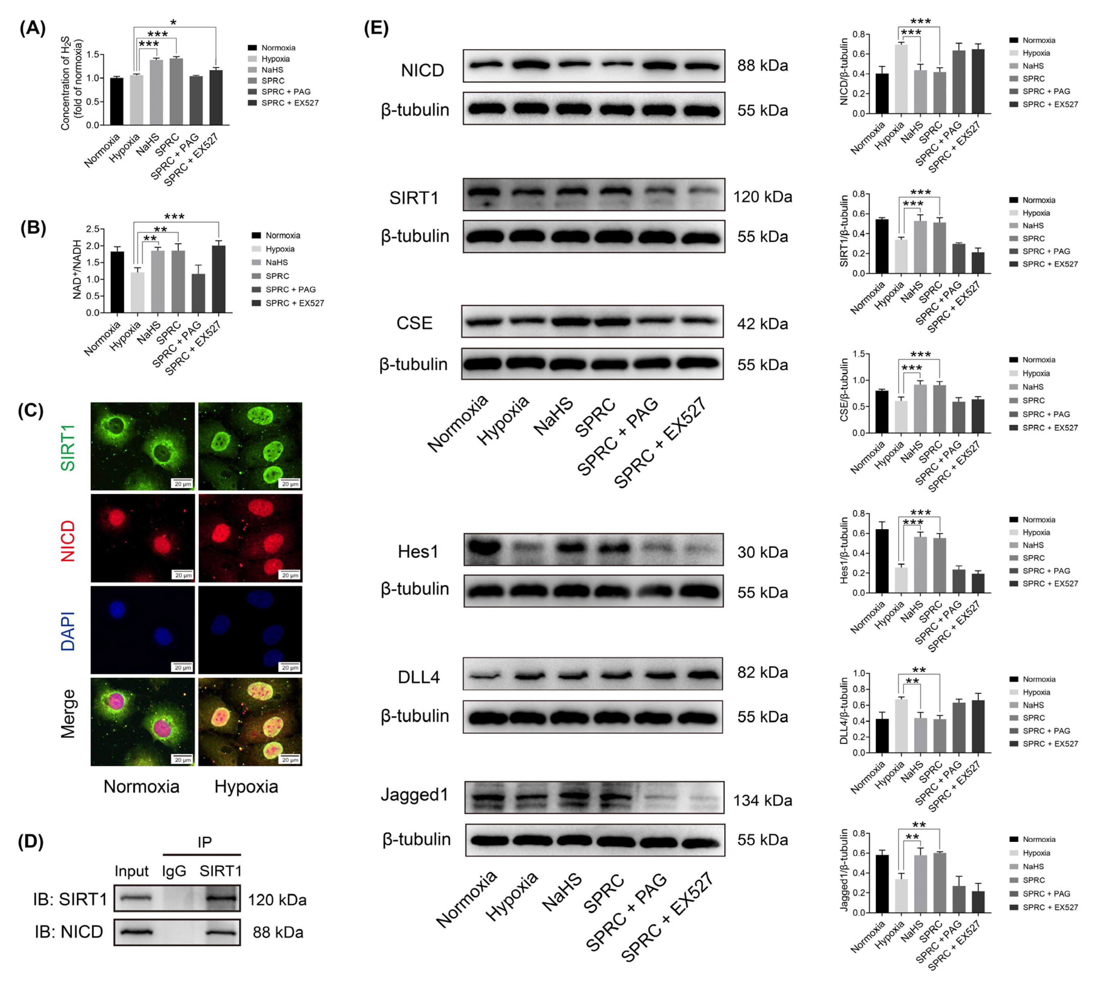 Antioxidants 12 00294 g004