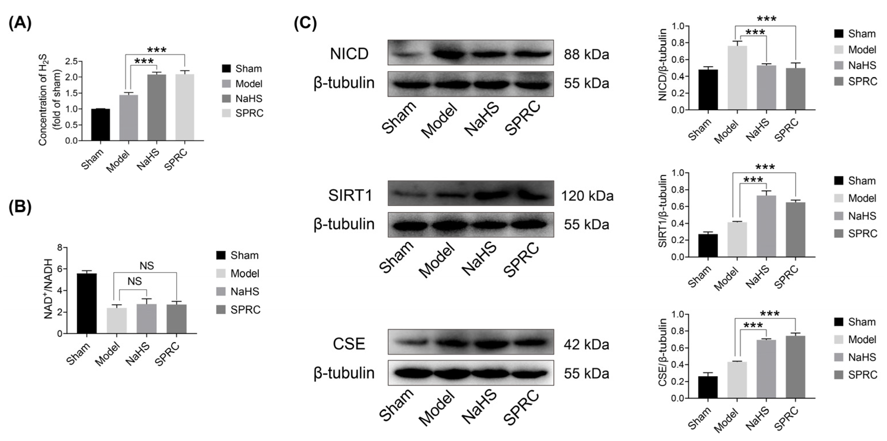 Antioxidants 12 00294 g005