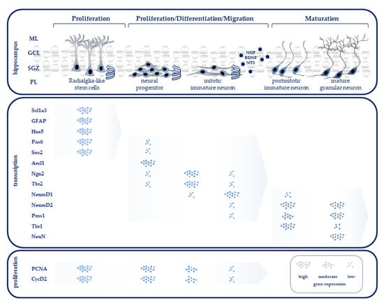 Antioxidants 12 00295 g001