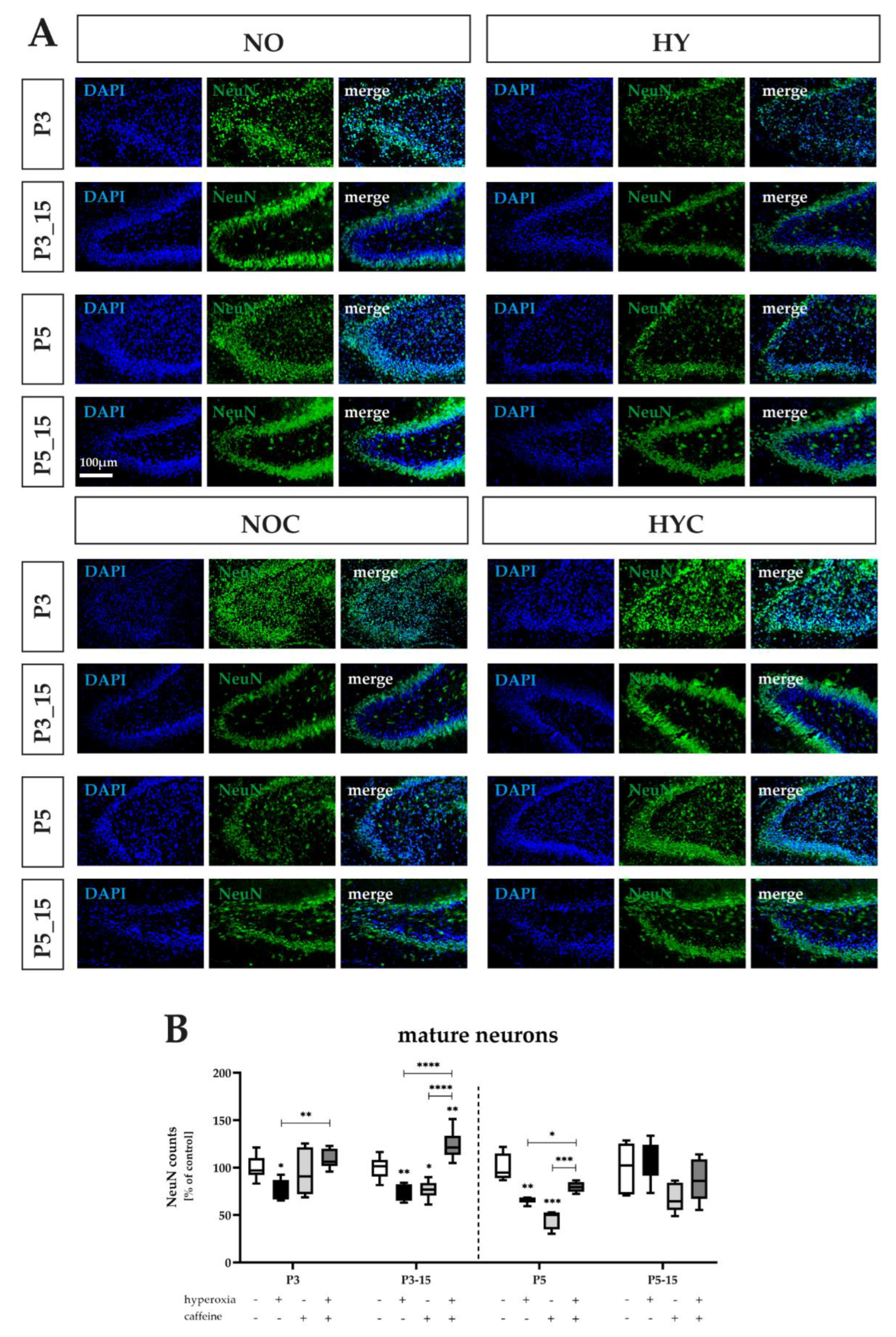 Antioxidants 12 00295 g003 Antioxidants 12 00295 g003