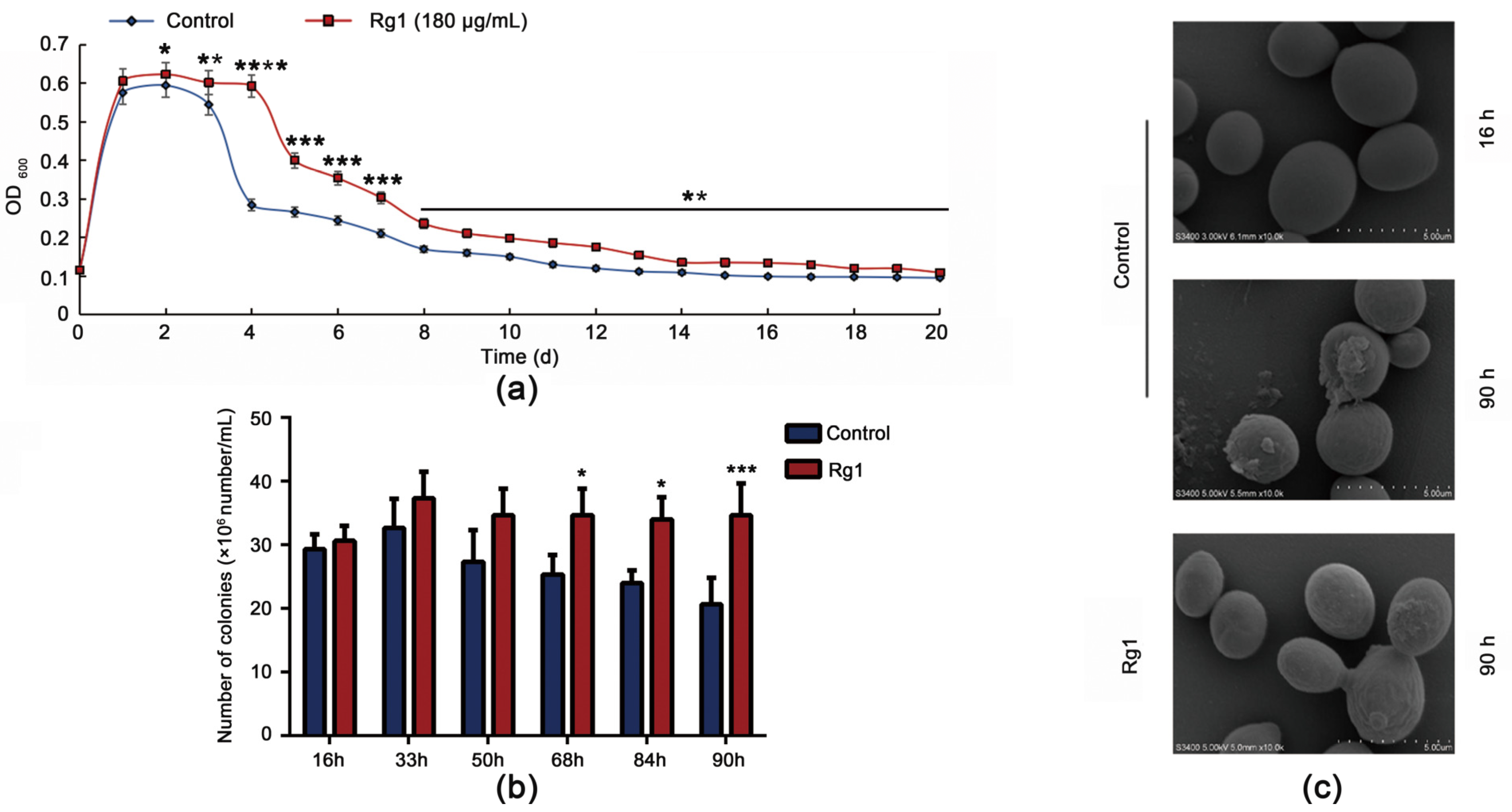 Antioxidants 12 00296 g002