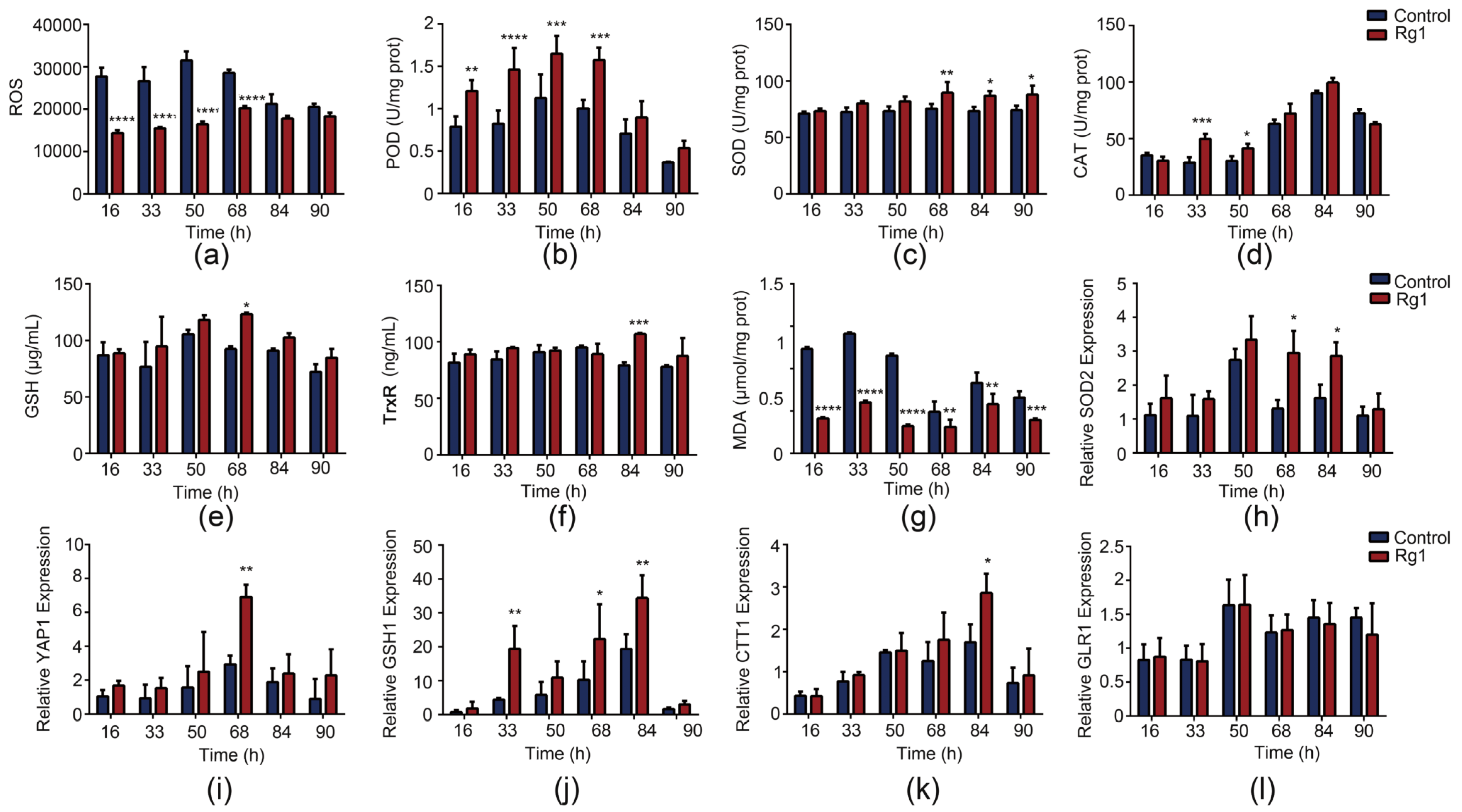 Antioxidants 12 00296 g005