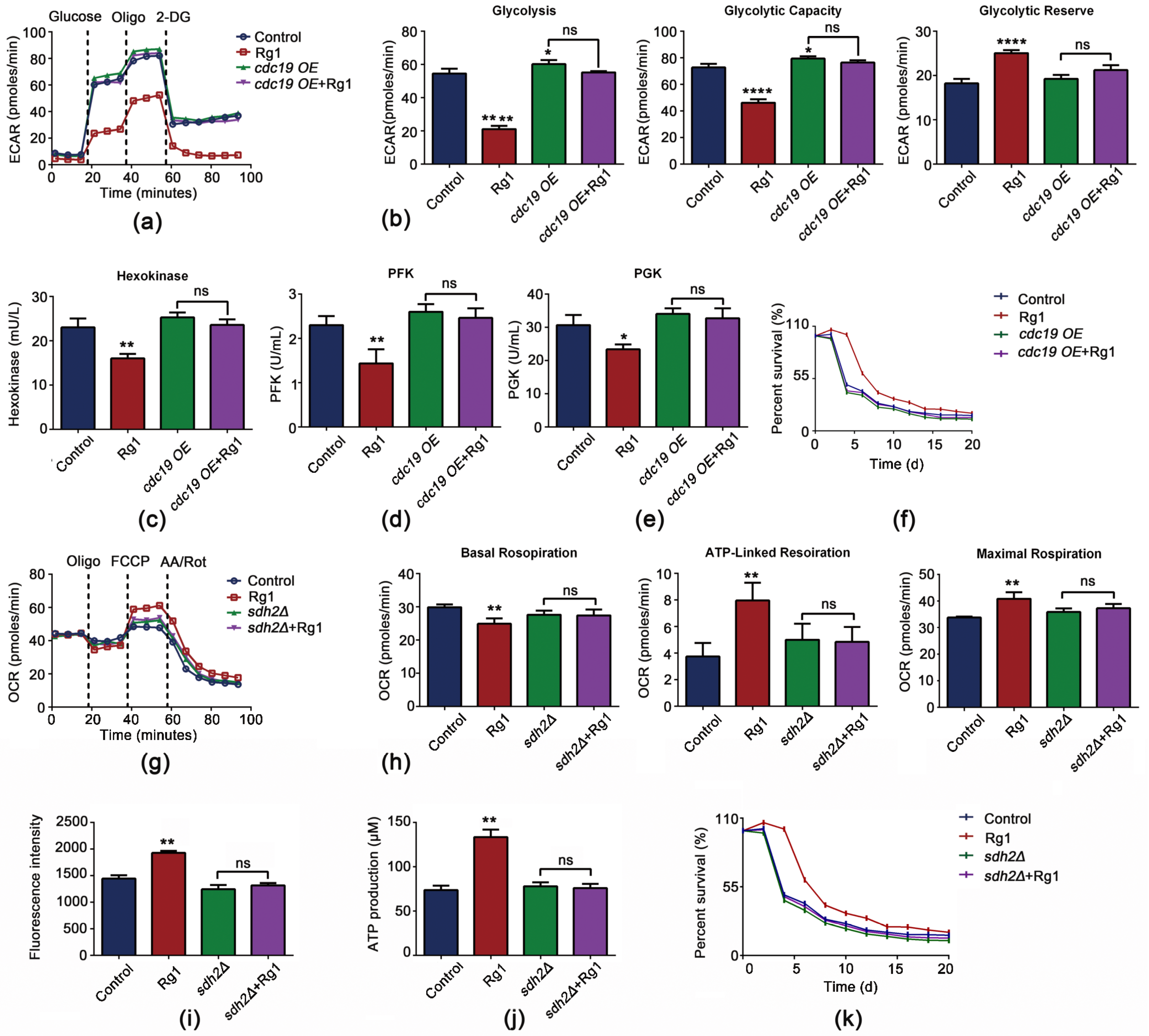 Antioxidants 12 00296 g009