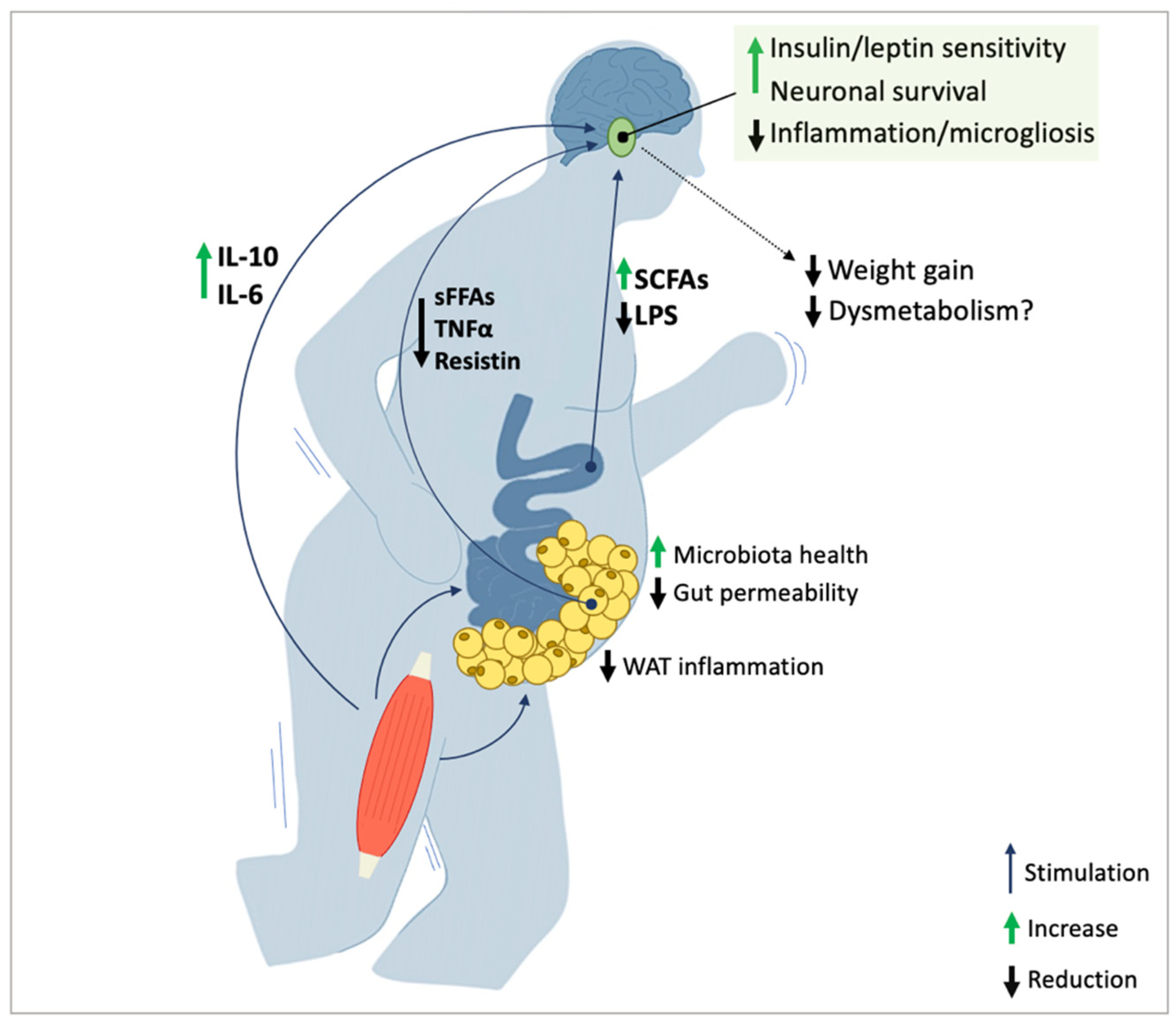 Antioxidants 12 00297 g003