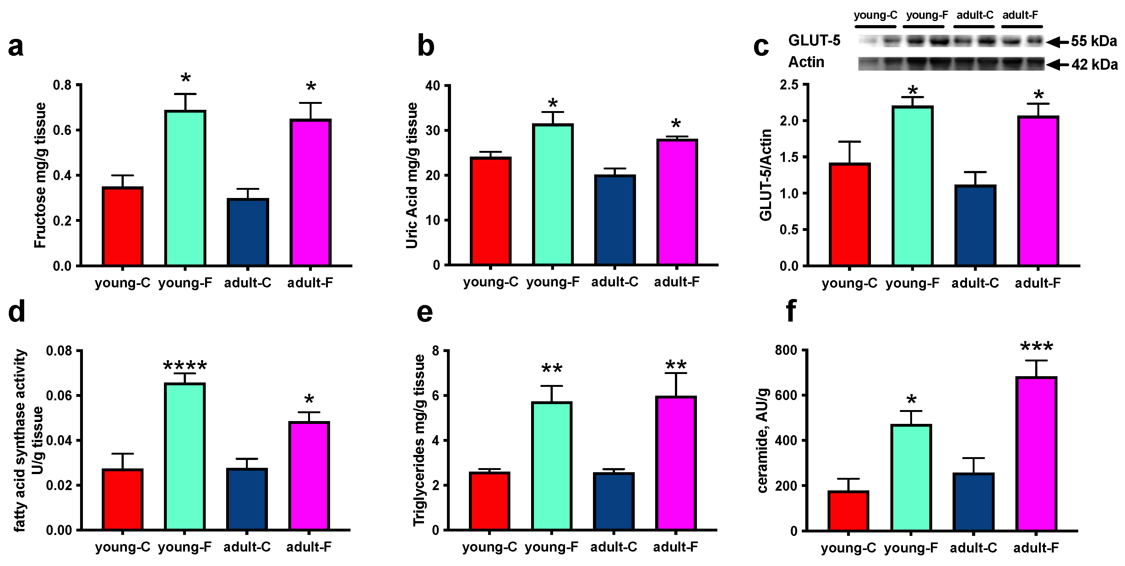 Antioxidants 12 00299 g002